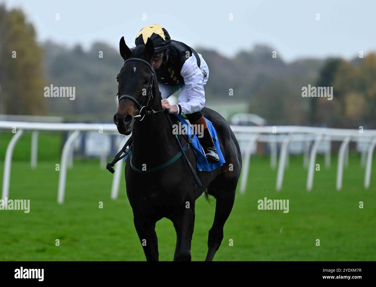 Leicester, Großbritannien, 28.10.2024, Ann Terry (links), geritten von Rossa Ryan, gewinnt 1,35 das British EBF Fillies’ Novice Stakes Handicap auf der Leicester Racecourse, Leicester Picture von Paul Blake/Alamy Sports News Stockfoto