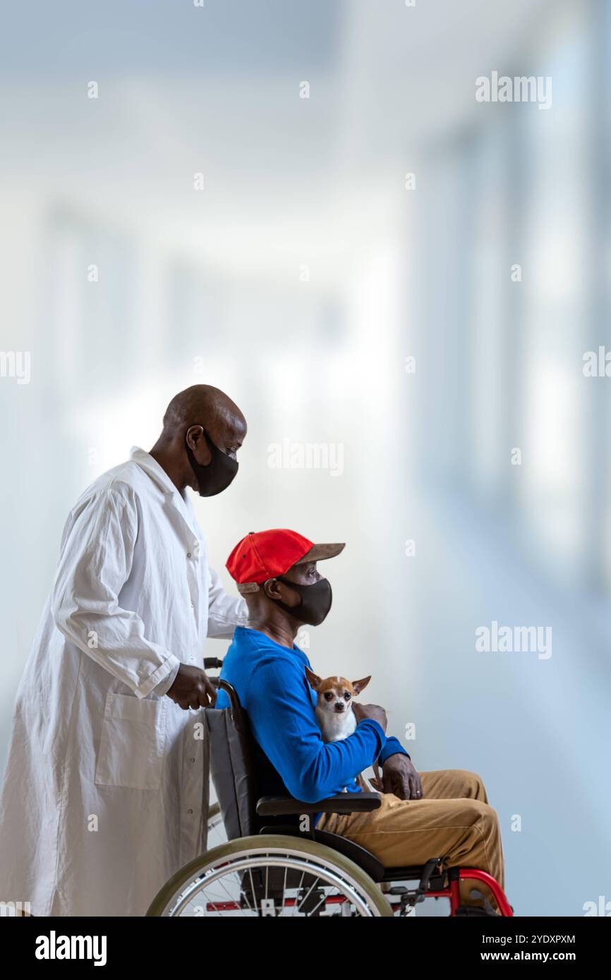 Männliche Krankenschwester, die einen behinderten Mann mit seinem Chihuahua trägt. Persönliche Hilfe, 016278 033 Stockfoto