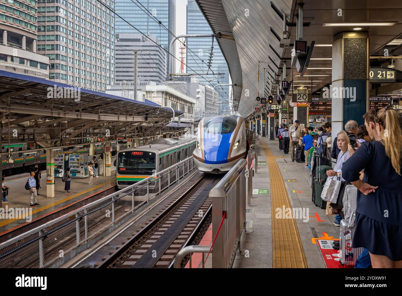 Japanischer Hochgeschwindigkeitszug neben einem Pendlerzug am Bahnsteig Shinkensen im Bahnhof Tokio am 7. Oktober 2024 Stockfoto