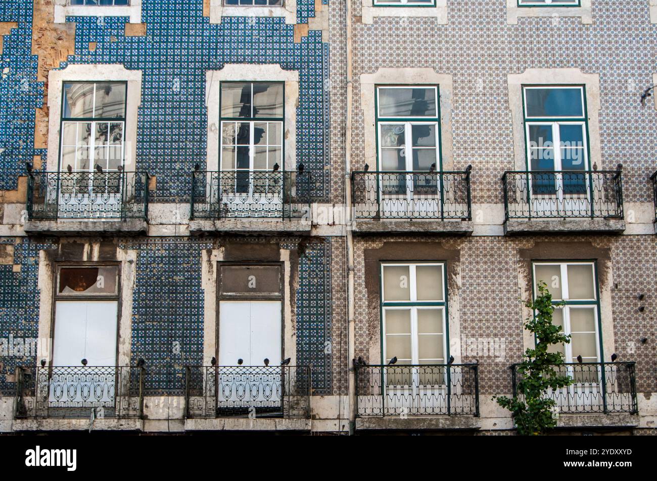 Typisch portugiesische Gebäudefassade mit traditionellen Azulejos mit Tauben auf dem Balkongeländer. Lissabon, Portugal Stockfoto