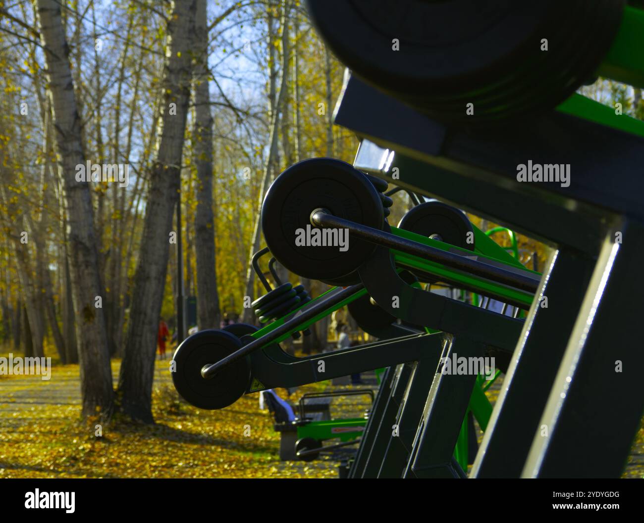 Krafttrainingsgeräte im Herbstpark Stockfoto