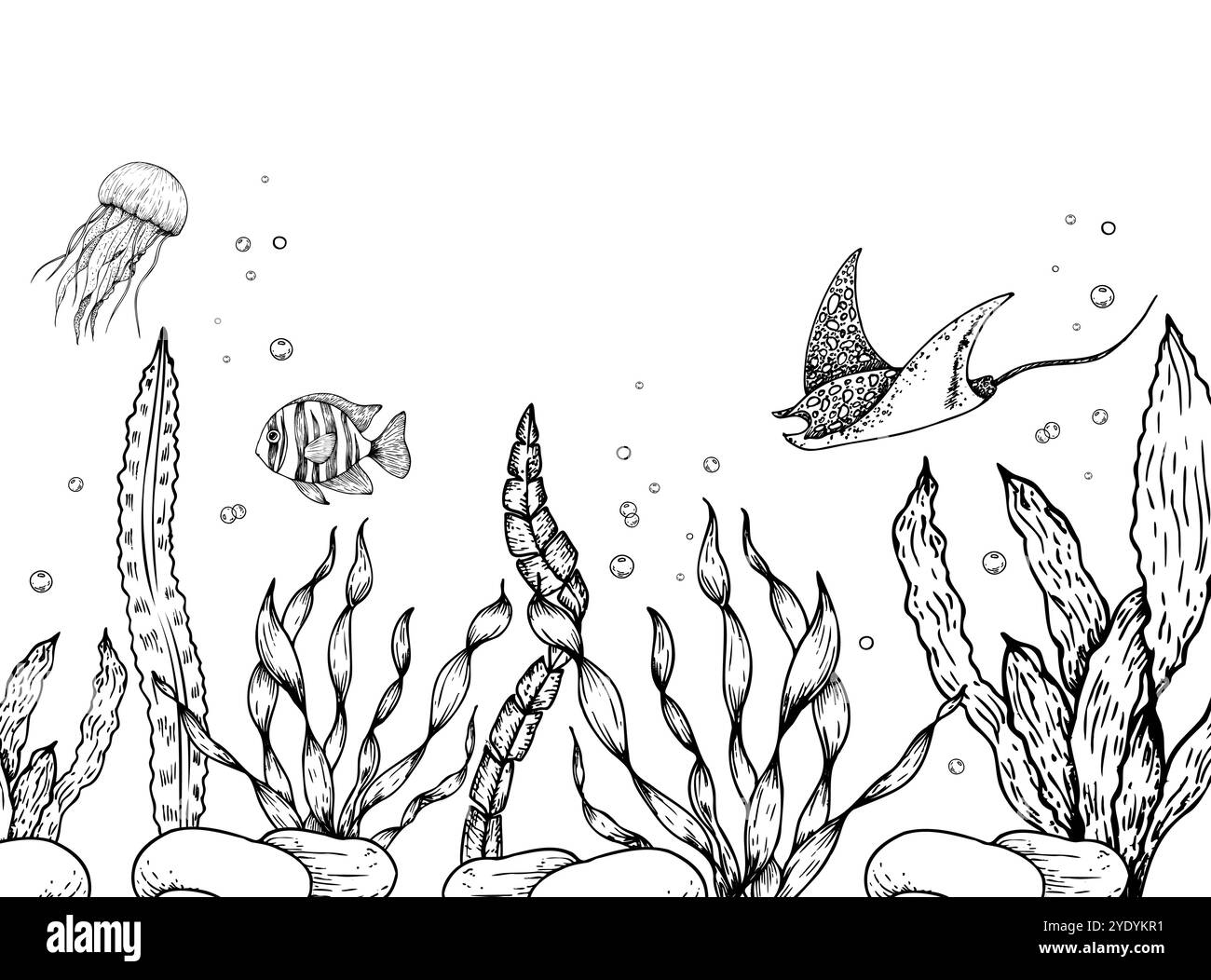 Vektor-Meeresboden. Quallen, tropische Fische, Stachelrochen, Kieselsteine, Algen, Korallen, Blasen. Handgemalte Seetang, Laminaria. Grafik-Rock-Clip-Art Stock Vektor