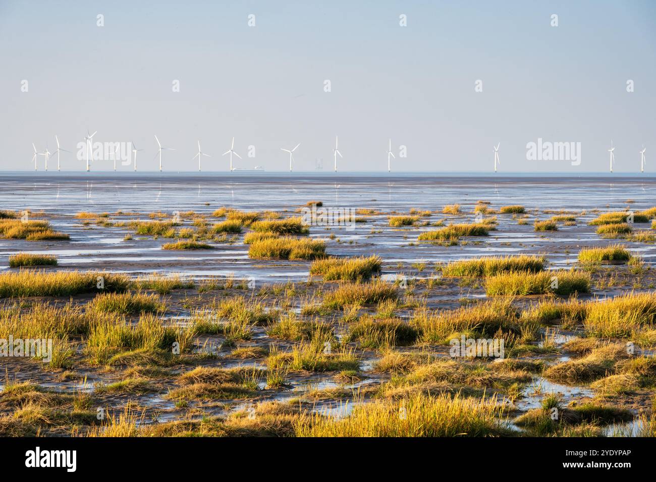 Salzklumpen und Marramgräser säumen den Strand von Hoylake auf der englischen Wirral-Halbinsel mit den Turbinen der Burbo Bank Offshore Wind Farm dahinter. Stockfoto