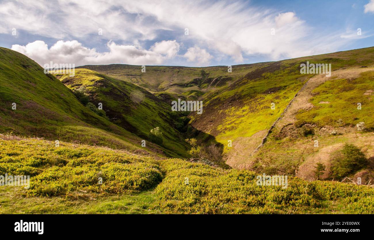 Heather Moorland bedeckt das Edale Moor in den Pennine Hills im Peak District von Derbyshire. Stockfoto