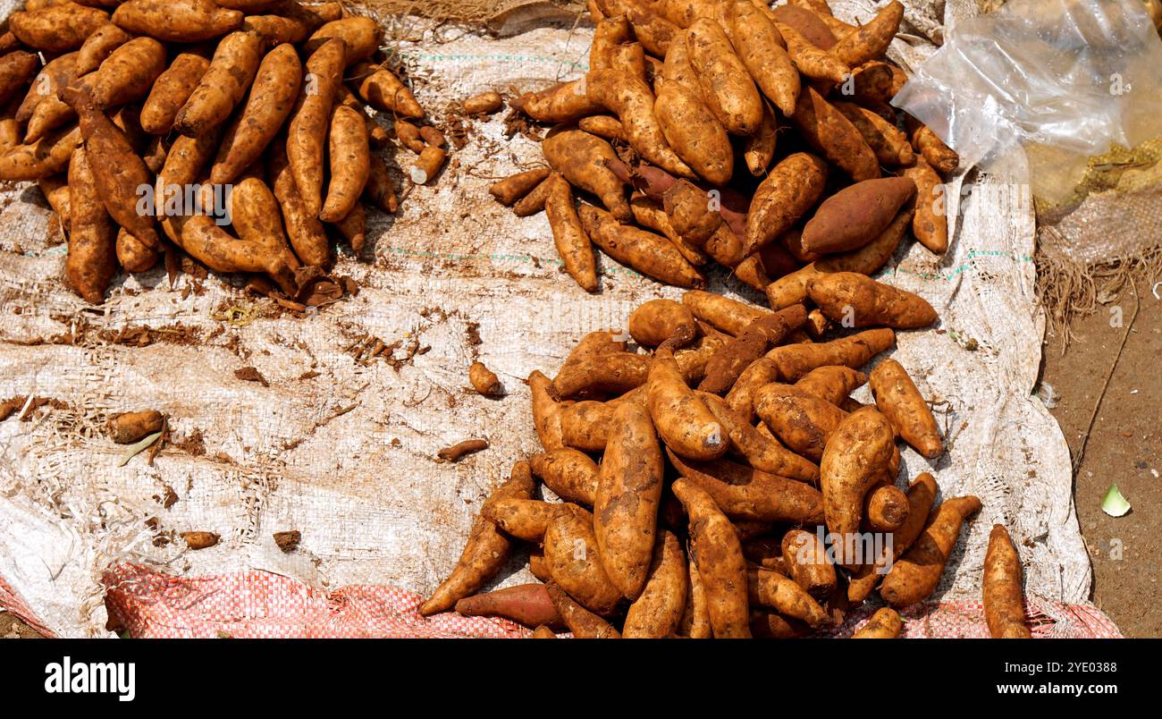 Verschiedene Kartoffeln auf einem Bauernmarkt Stockfoto