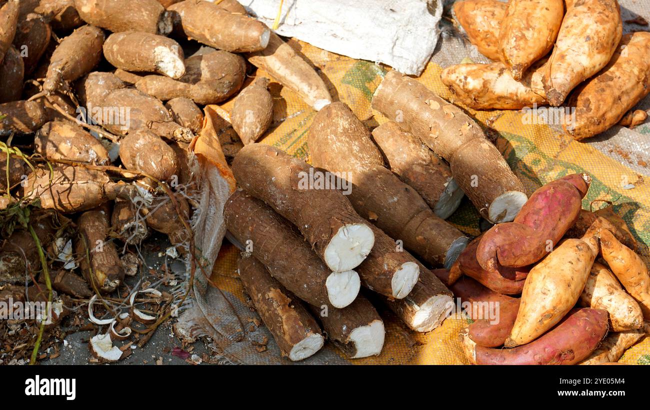 Verschiedene Kartoffeln auf einem Bauernmarkt Stockfoto