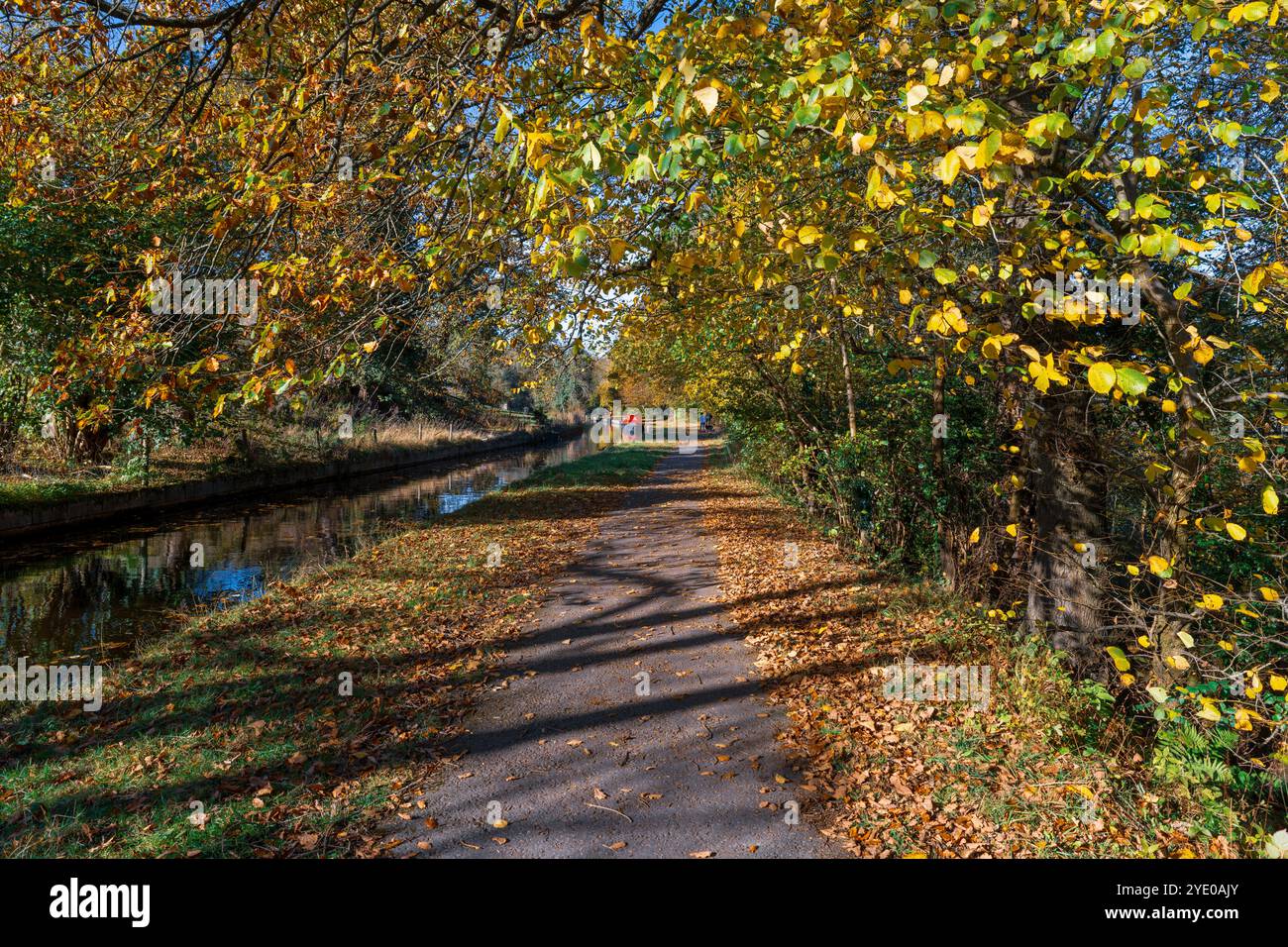 Entlang des Llangollenkanals im Herbst. Stockfoto