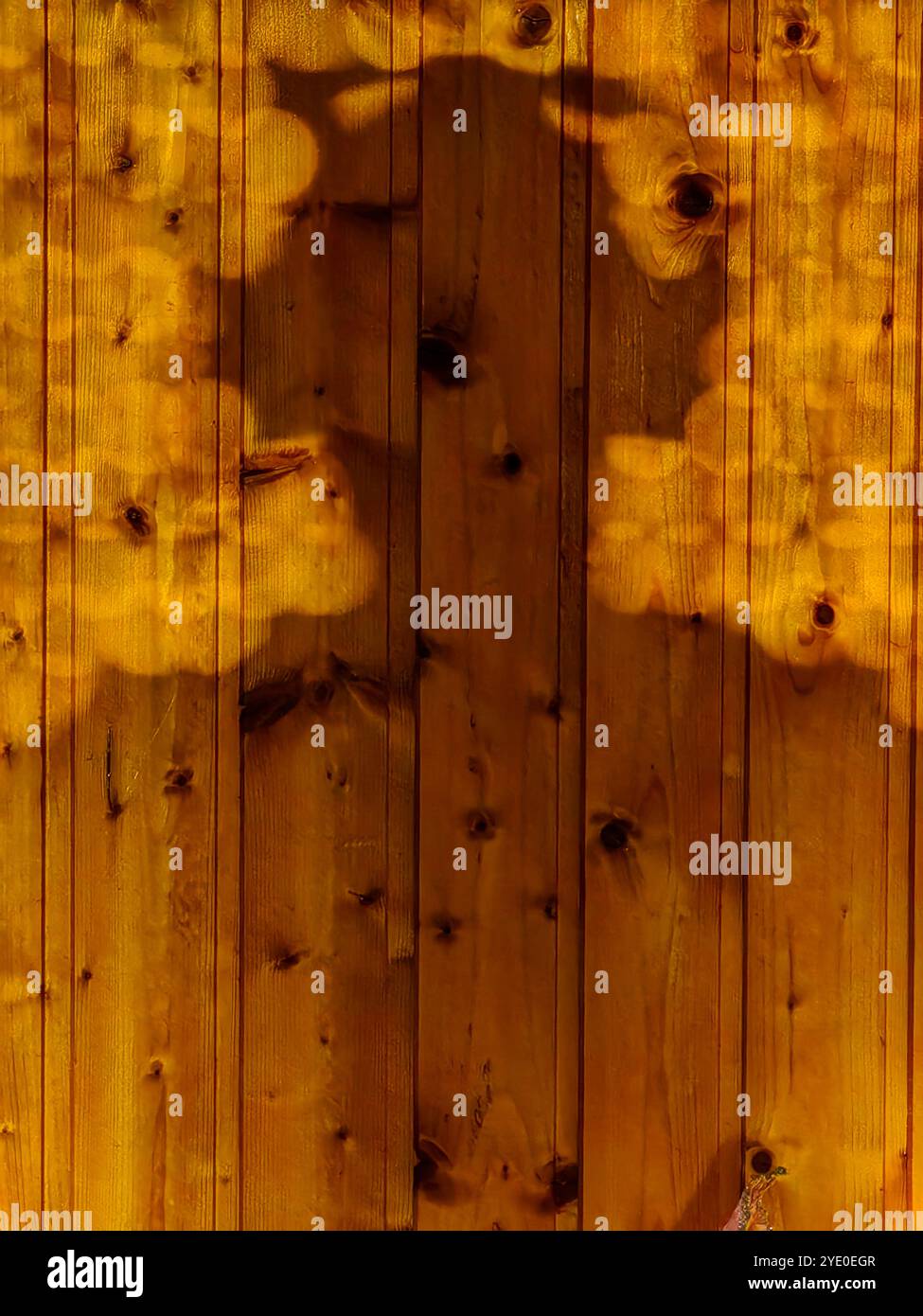 Sunset Reflections: Mann mit Kopfhörern auf hölzernem Wandhintergrund Stockfoto