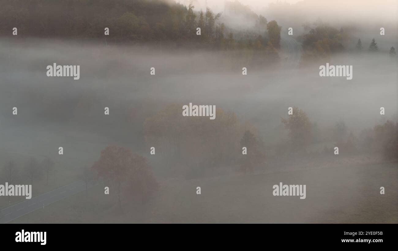 Harzlandschaft im Nebel Herbststimmung Stockfoto