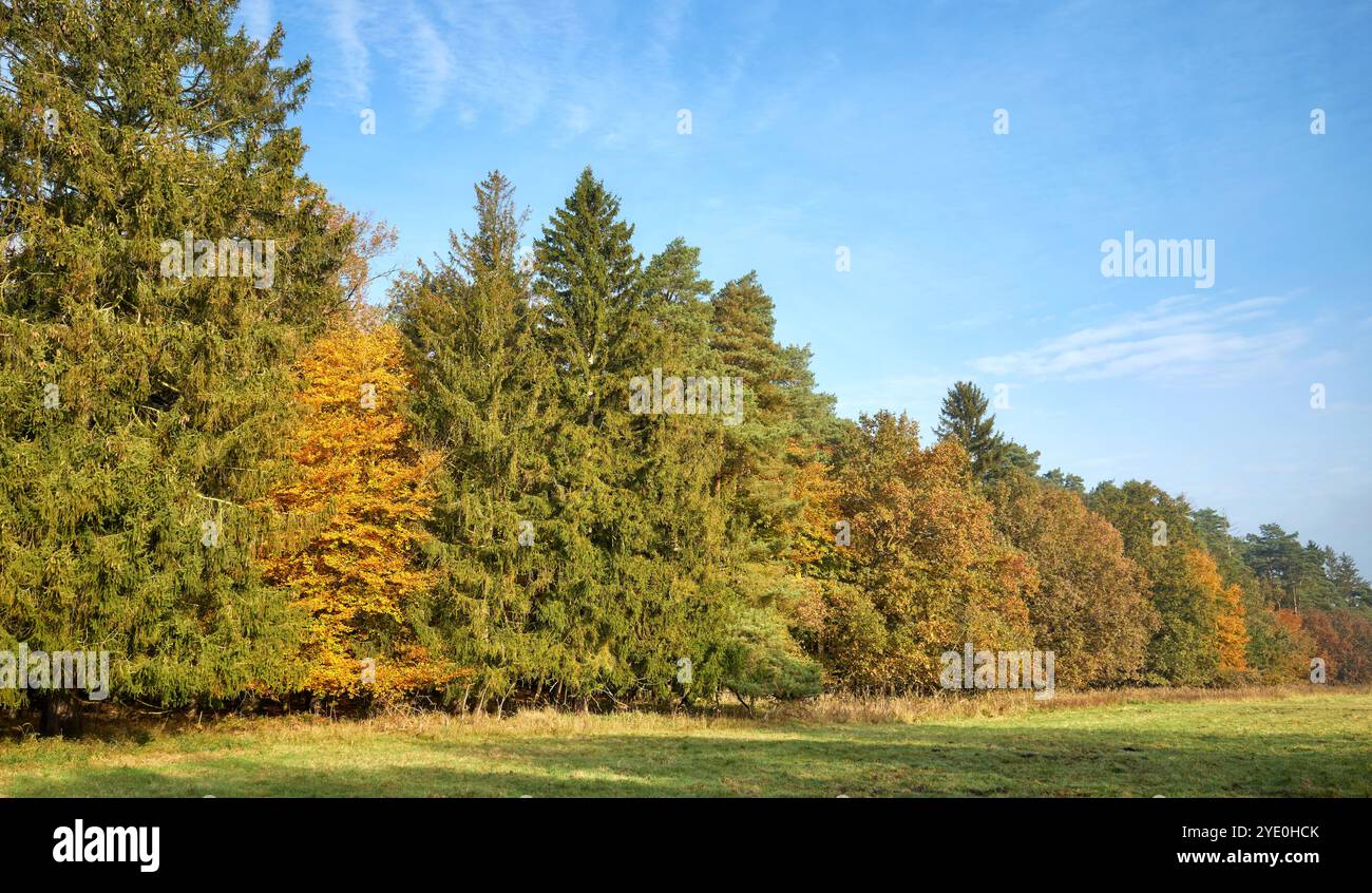 Herbstlandschaft an einem sonnigen Tag. Stockfoto
