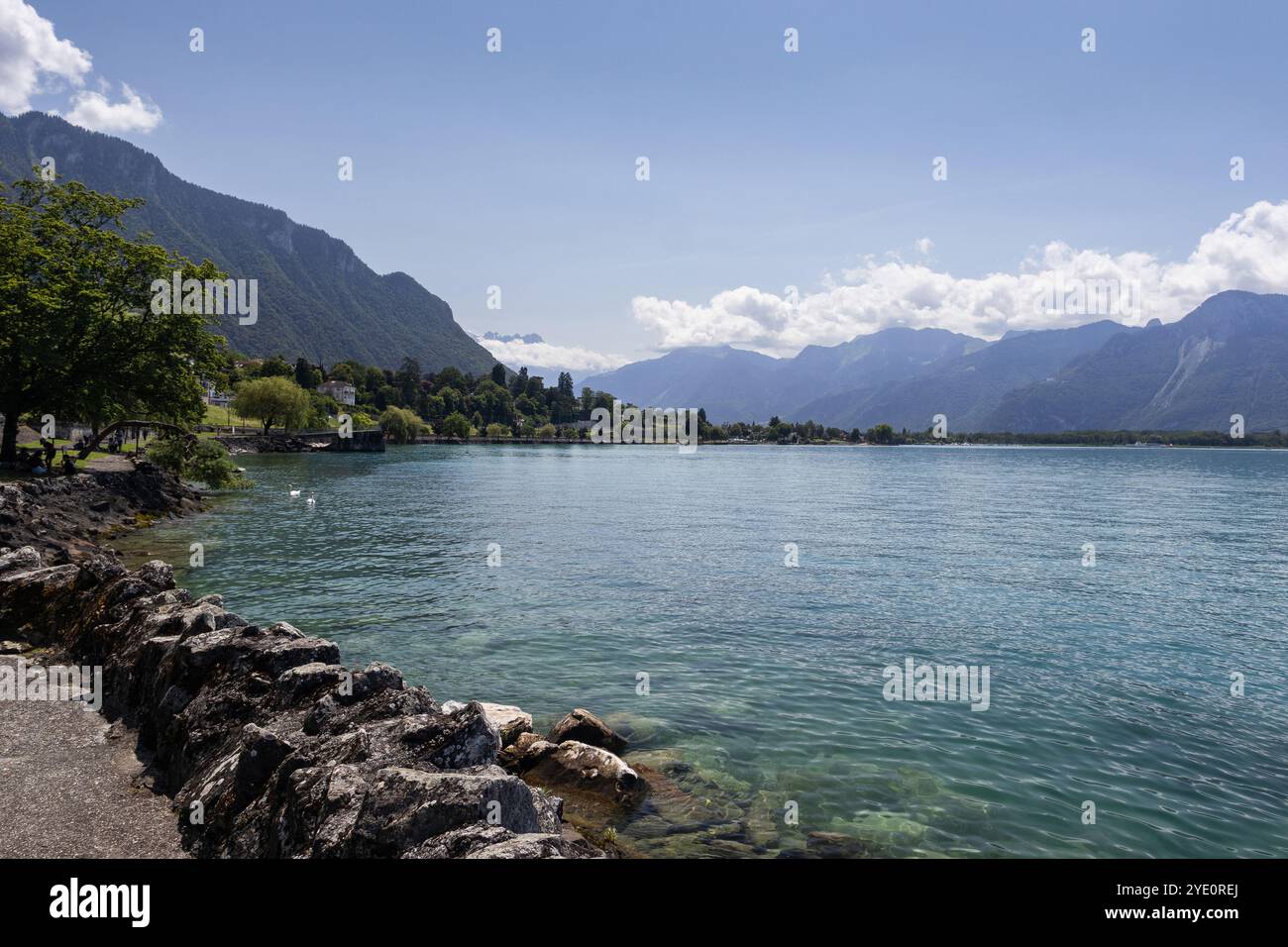 Malerischer Sommerblick auf den Genfer See (Lac Leman) in der Nähe von Montreux in Waadt, Schweiz. Mit klarem Himmel und wunderschönem türkisfarbenem Wasser. Kopierbereich darüber. Stockfoto