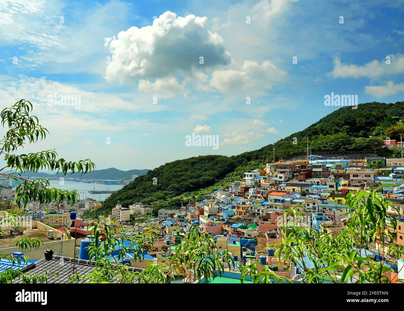 Gamcheon Culture Village (Koreanisch 감천문화마을) ist eine Stadt im südkoreanischen Stadtteil Gamcheon-dong im Bezirk Saha in Busan. Stockfoto
