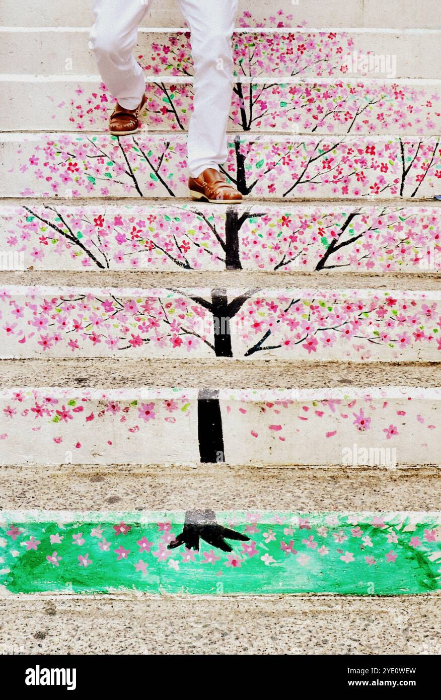 Blossom Treppen im Gamcheon Culture Village ist eine Stadt im südkoreanischen Gamcheon-dong im Saha District in Busan. Stockfoto