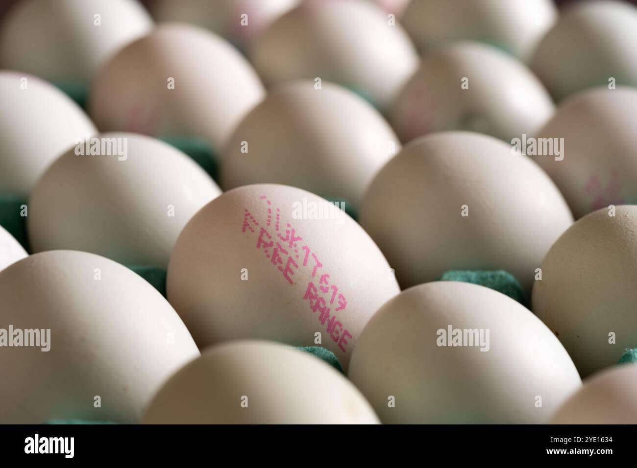 Seltene britische Araucana-Hühnereier in einem Karton mit dem Aufdruck „Free Range“ auf der Seite, England. Kopierbereich. Stockfoto