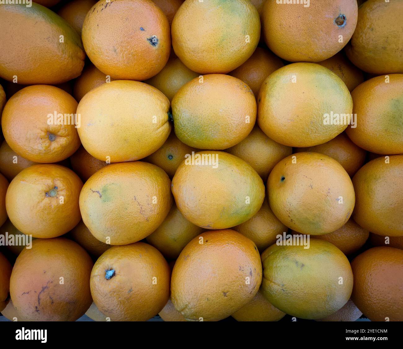 Blick von oben auf Orangenfrüchte, die in einem Supermarkt ordentlich angeordnet wurden. Stockfoto