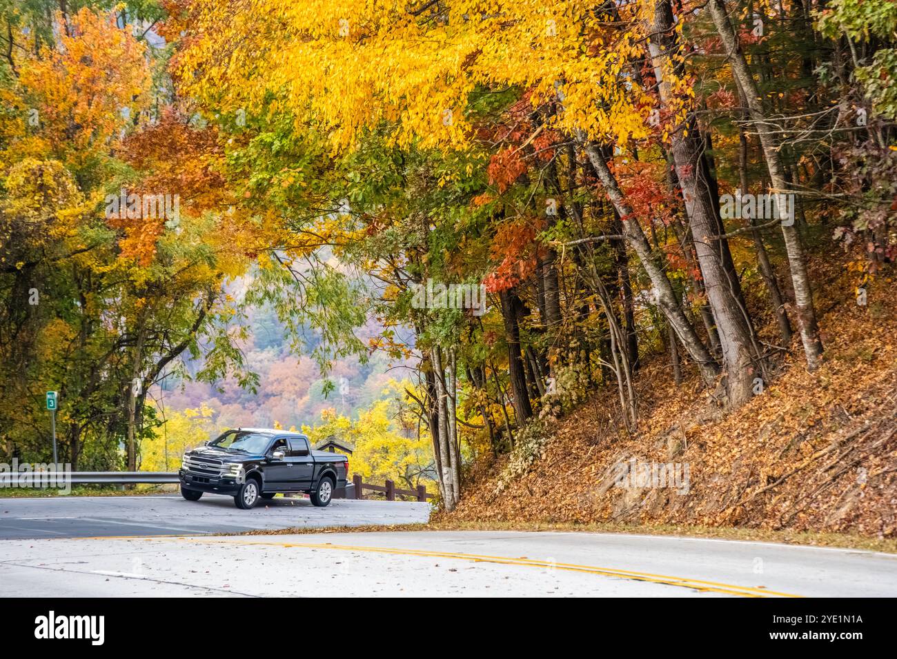 Buntes Herbstlaub in den Blue Ridge Mountains am Scaly Mountain, North Carolina, zwischen Highlands, North Carolina und Dillard, Georgien. (USA) Stockfoto