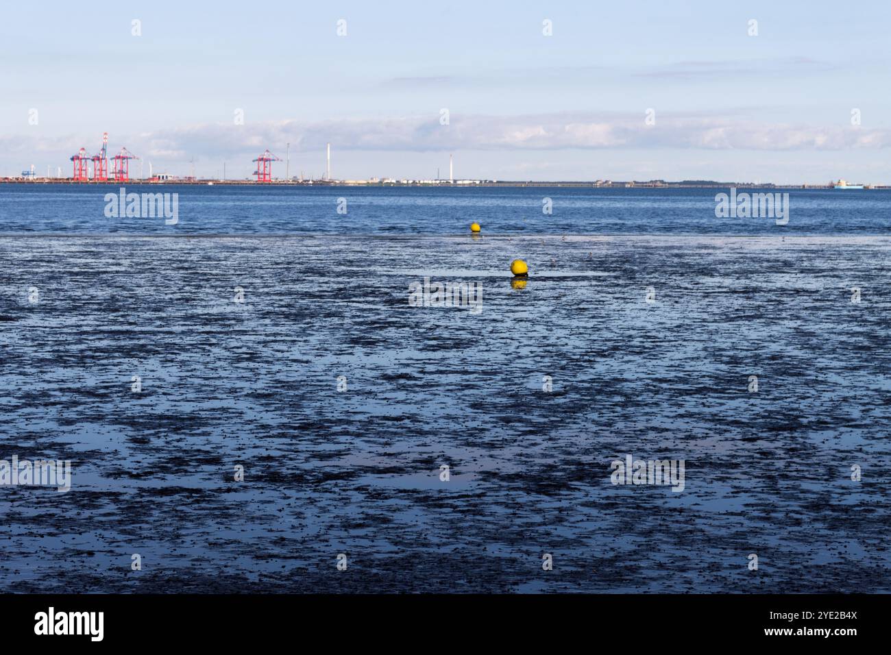 Weitläufiger Blick über das Wattenmeer in der Nähe von Tossens, mit exponiertem Wattenmeer bei Ebbe und entfernter Schifffahrtsinfrastruktur am Horizont. Stockfoto