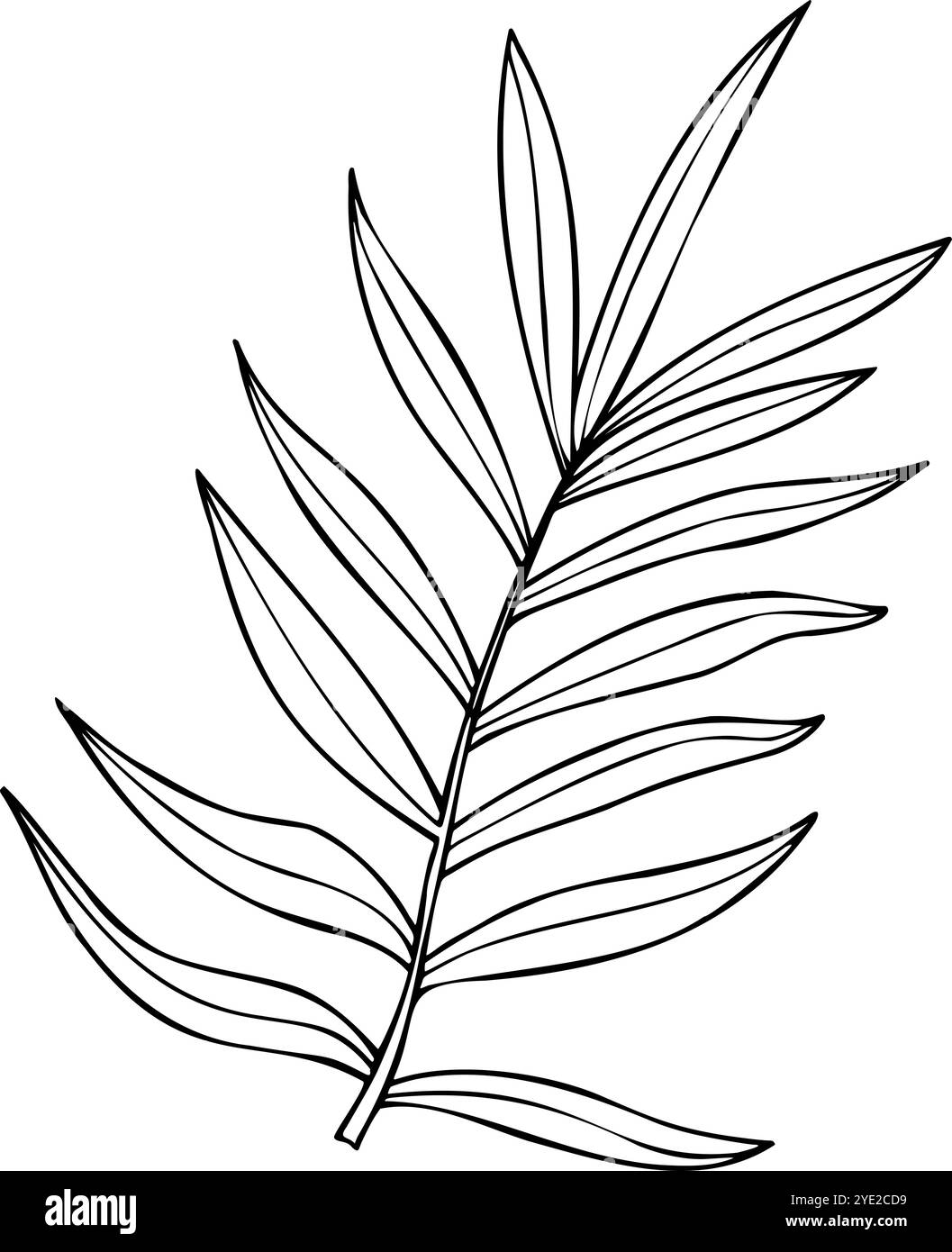 Vector dypsis, Areca Palm oder Cycas hinterlässt eine isolierte Zeichnung mit schwarzer Tinte. Tropische, einfarbige Silhouette mit Baumblättern. Zimmerpflanzenelement Stock Vektor