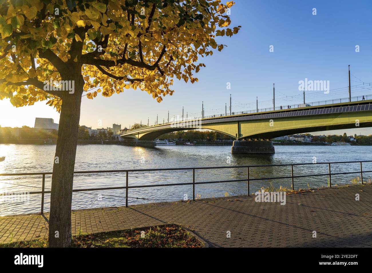 Die Kennedy-Brücke, die Mitte der drei Rheinbrücken Bonns, verbindet das Zentrum von Bonn mit dem Beuel-Bezirk, die Bundesstraße B56, Stadtbahnlinien und f Stockfoto