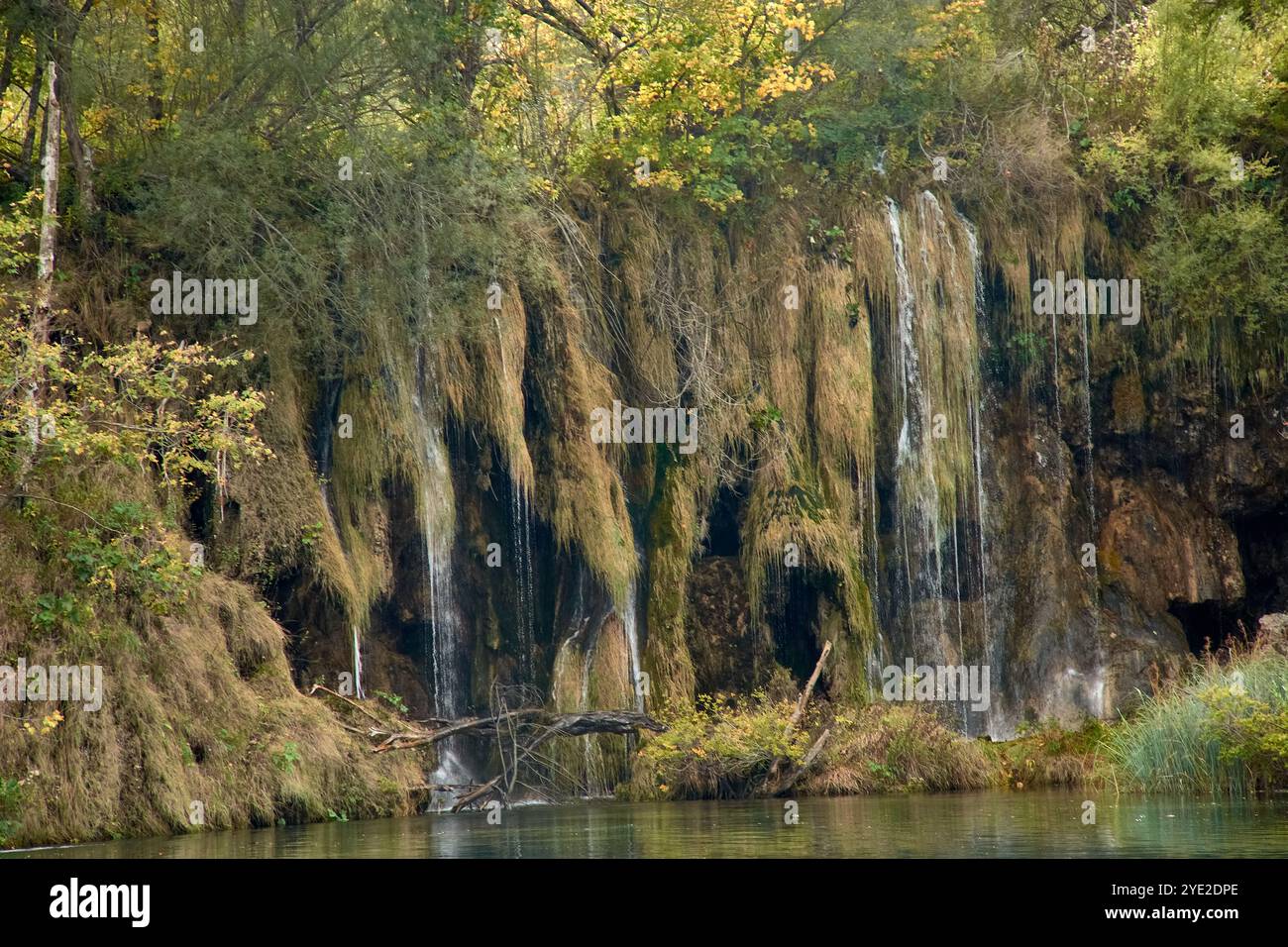 Dieses Herbstfoto des Nationalparks Plitvicer Seen in Kroatien fängt die einzigartige Schönheit hängender Baumwurzeln und zarter Wasserfälle ein. Stockfoto