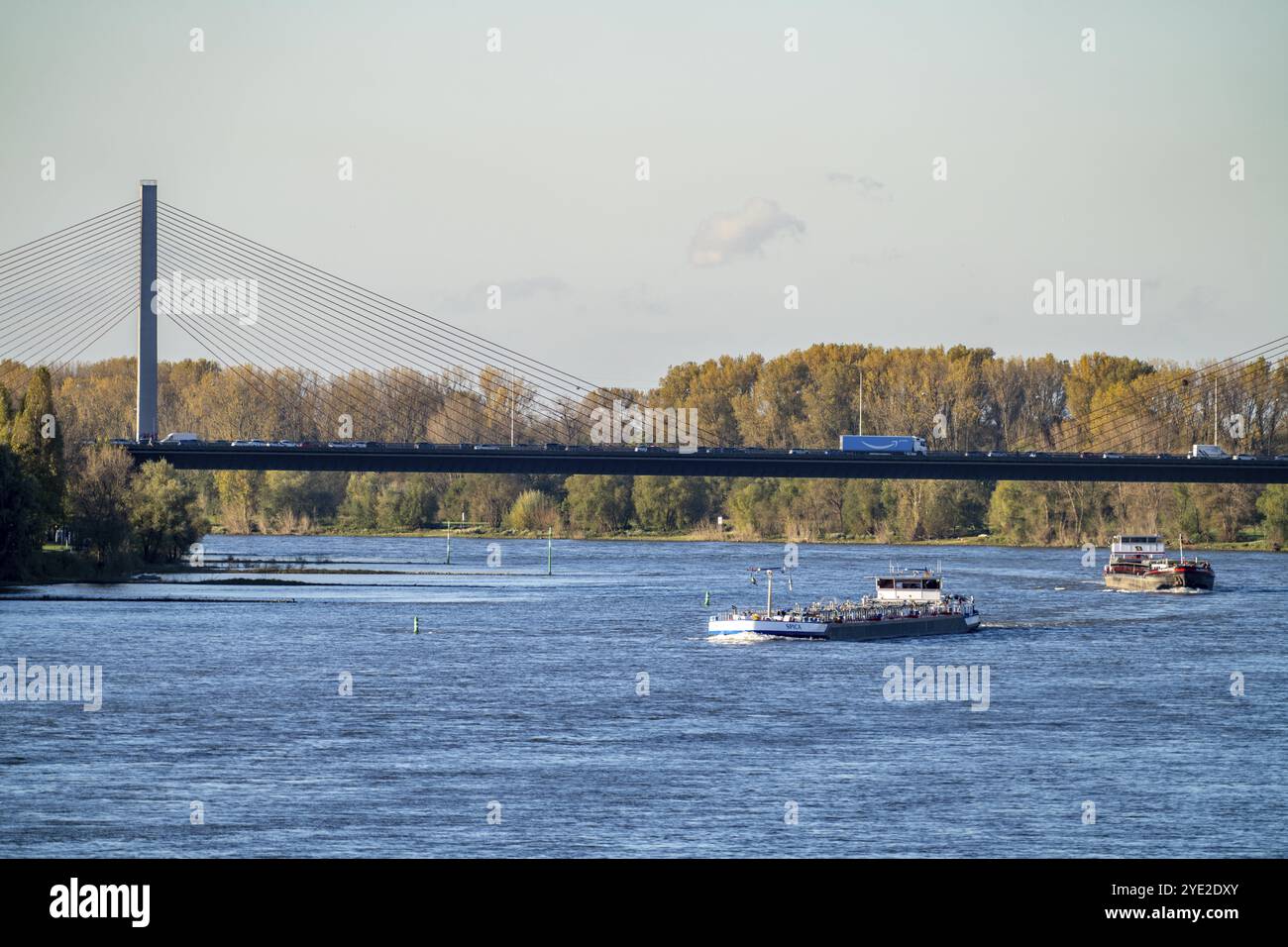 Friedrich-Ebert-Brücke über den Rhein bei Bonn, auch bekannt als Nordbrücke, Autobahnbrücke an der A565, Seilbrücke, Frachtschiffe, Nord Stockfoto