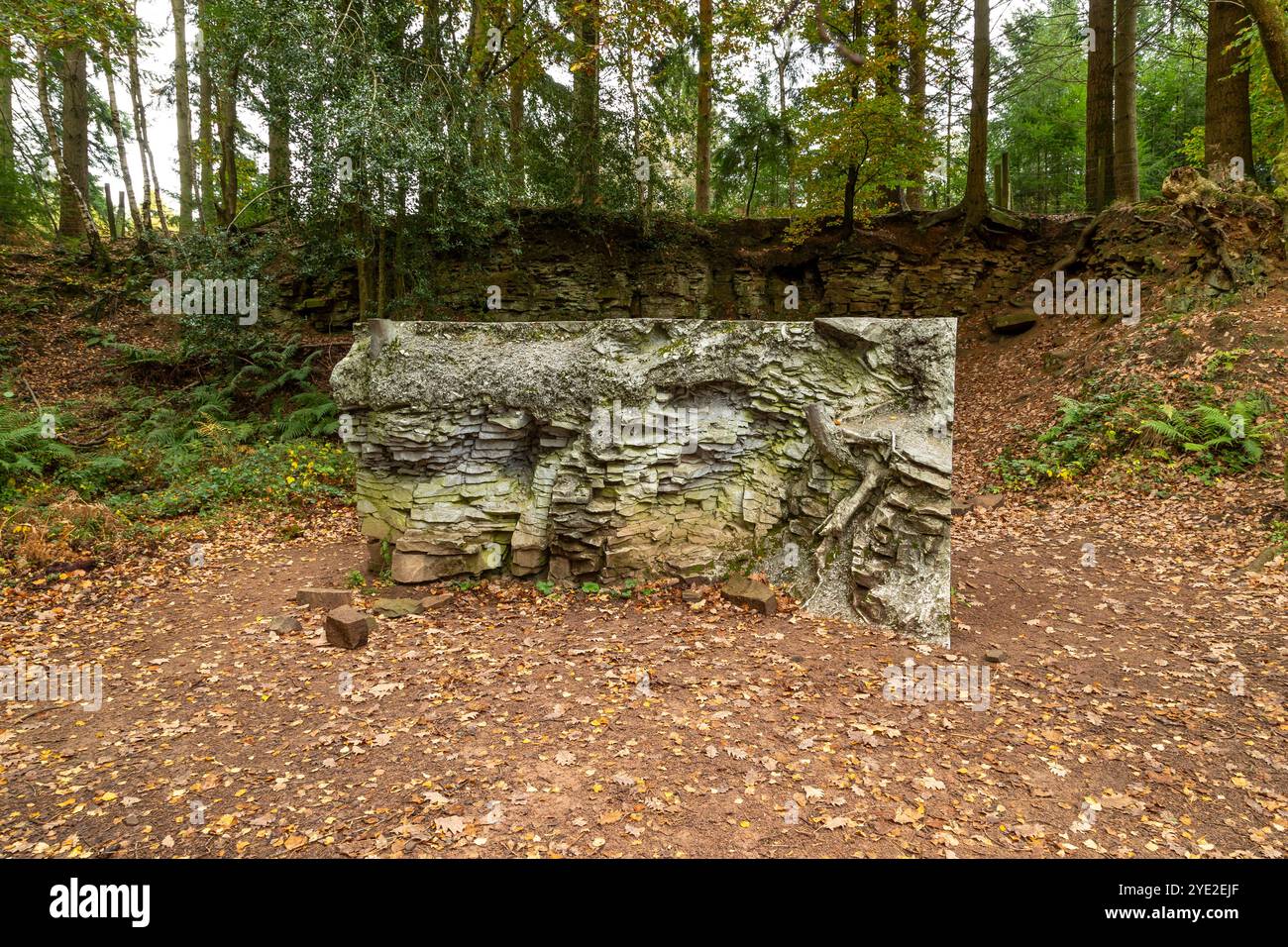 „Echo“ Forest of Dean Sculpture Trail. Speech House Woods Stockfoto