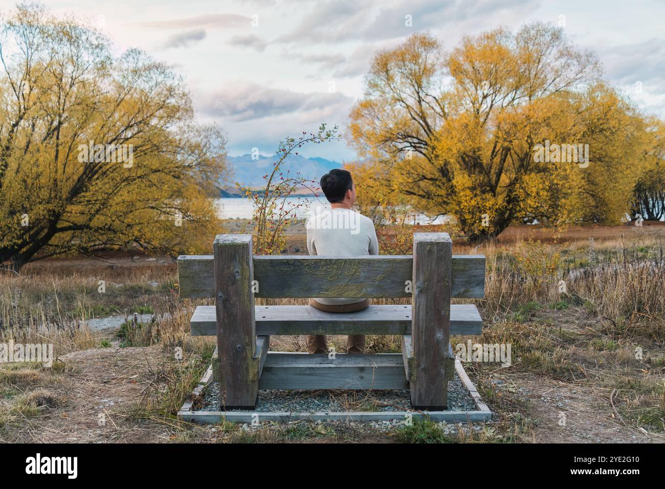 Rückansicht eines jungen asiatischen Mannes, der auf einer Holzbank im Herbstwald am See in Neuseeland sitzt Stockfoto