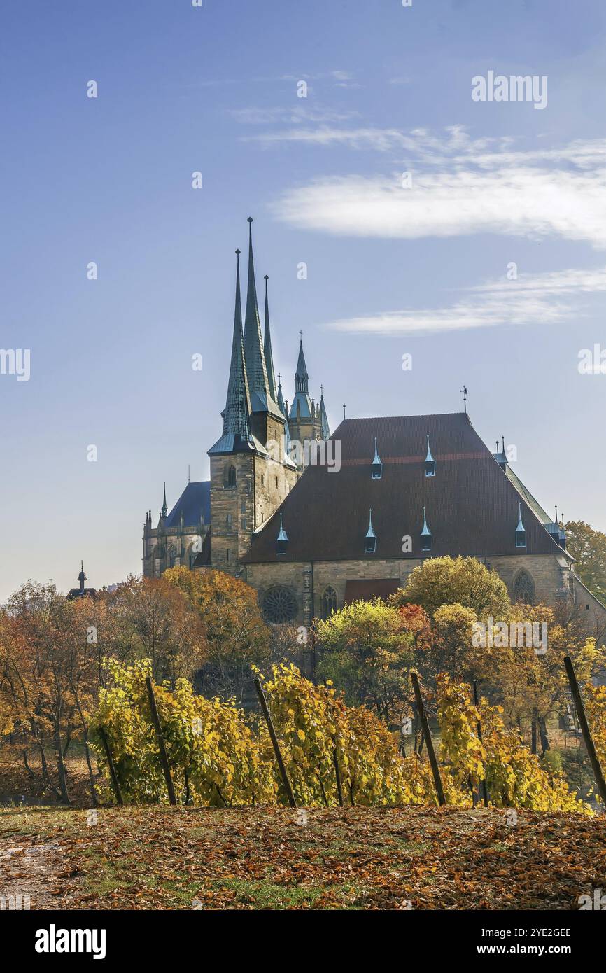 Blick auf den Erfurter Dom vom Weinberg, Deutschland, Europa Stockfoto