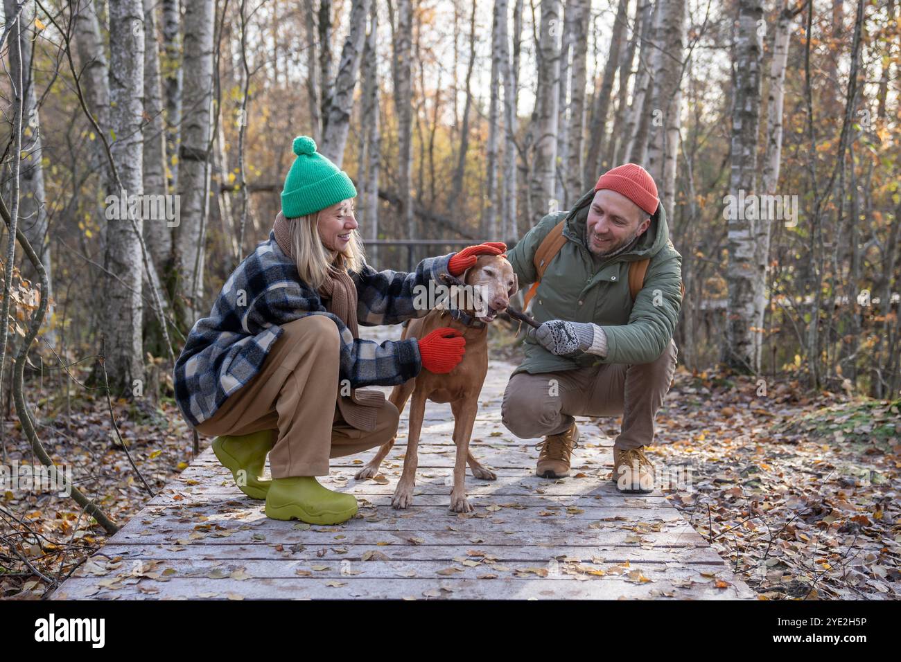Lächelnde Tierbesitzer spielen mit geliebtem Hund, während sie Zeit im Wald am sonnigen Herbsttag verbringen Stockfoto