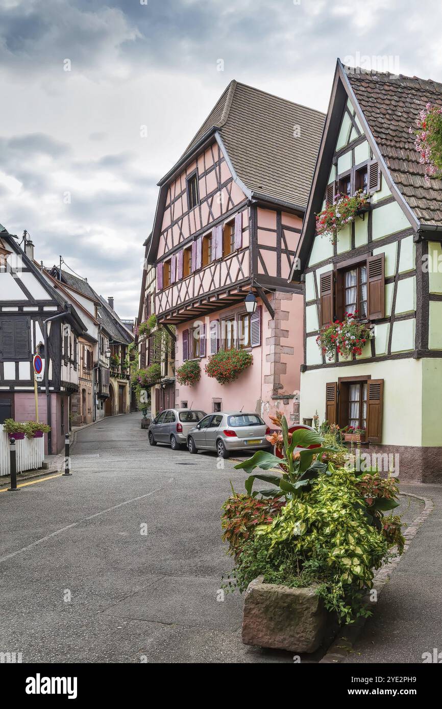 Straße mit historischen Häusern in Ribeauville, Elsass, Frankreich, Europa Stockfoto