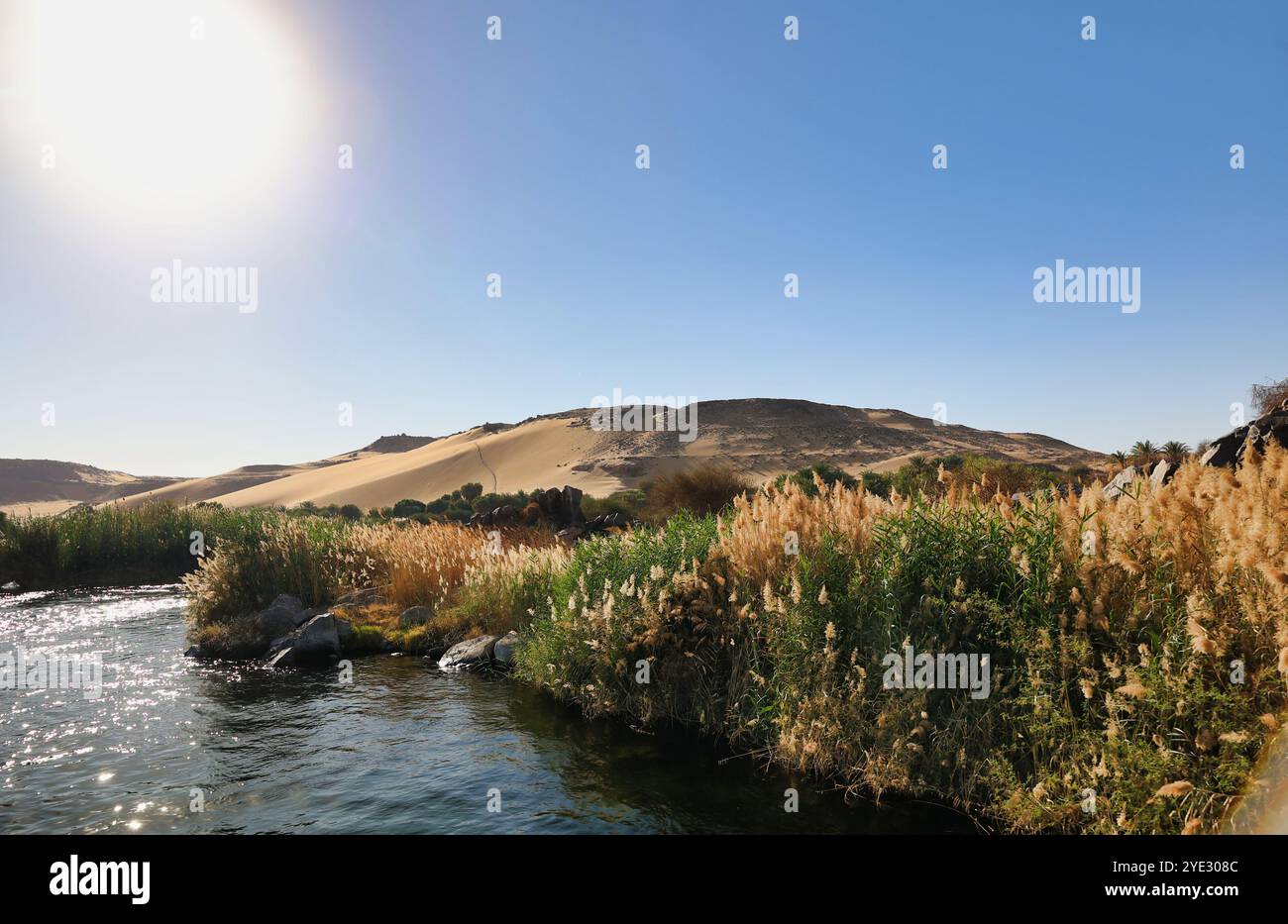 nilufer mit Sanddünen und Vegetation, Ägypten. Afrika Stockfoto