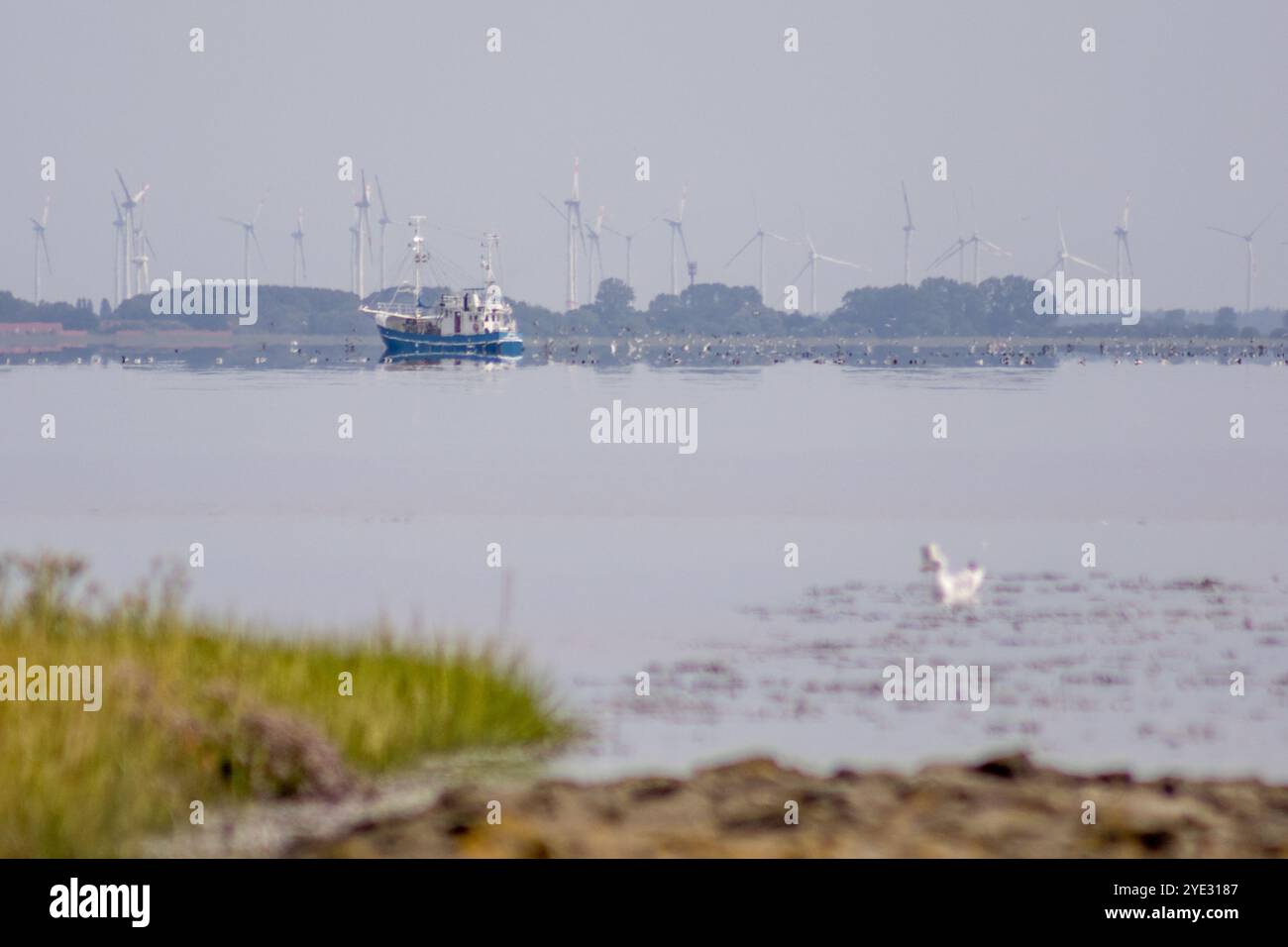 Ein Fischerboot segelt über ruhige Gewässer in der Nähe der Nordseeküste, mit Windturbinen am Horizont im Hintergrund. Stockfoto