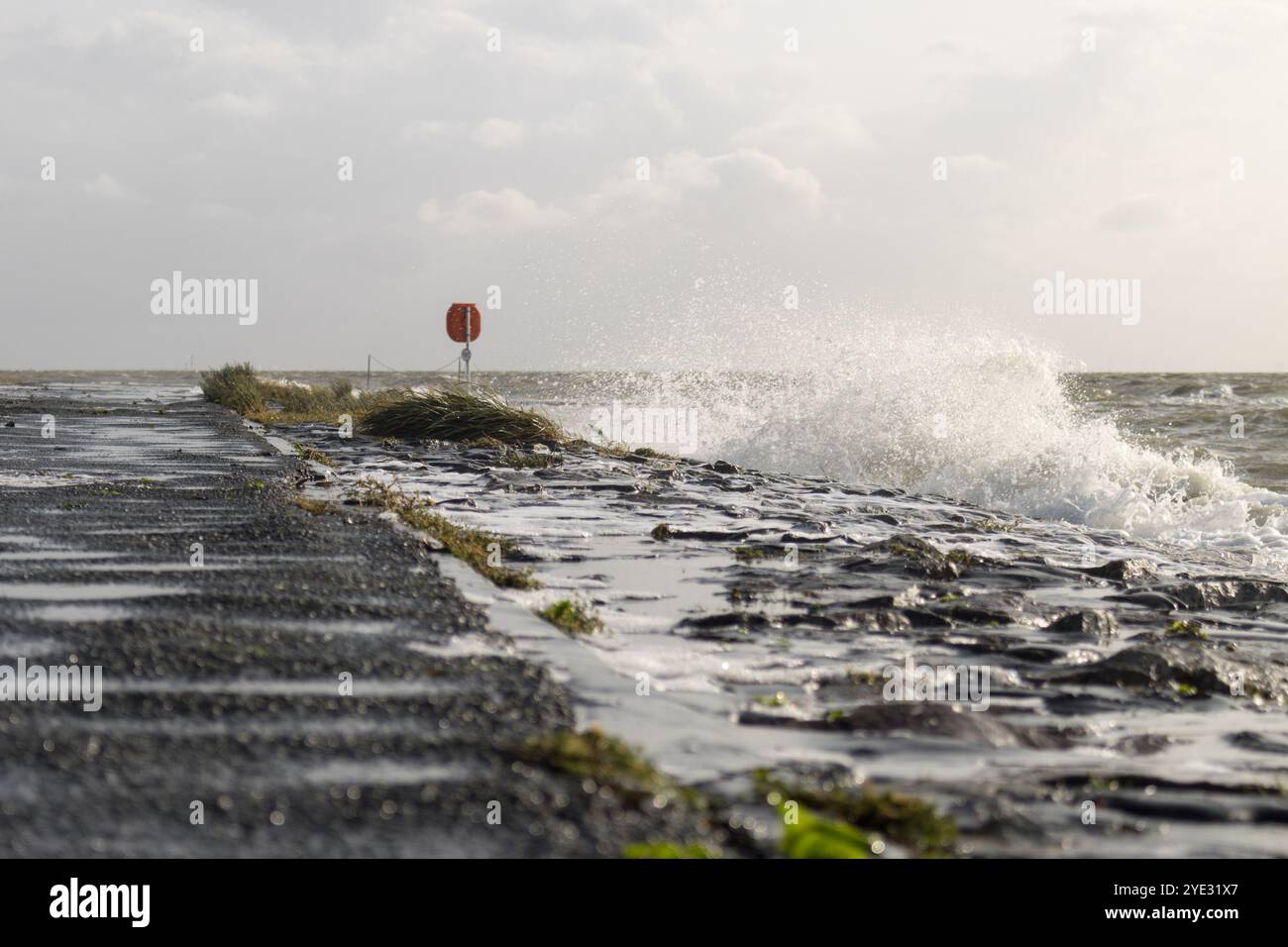 Überreste einer alten Pier-Struktur in den Wattgebieten, die von den unerbittlichen Wellen der Nordsee verwittert wurde, wurden bei Eckwarderhörne gefangen. Stockfoto