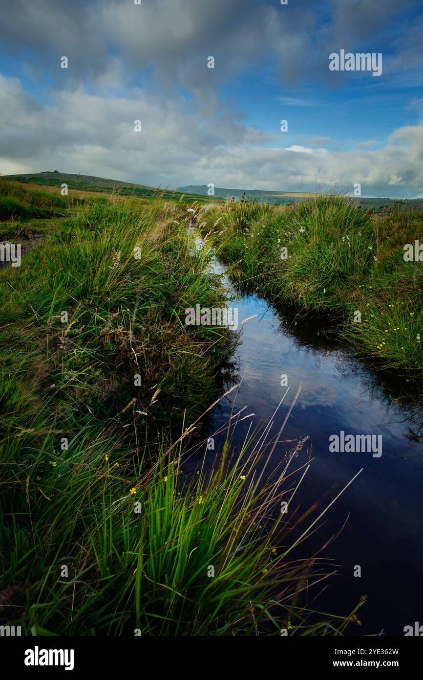 Grimstone und Sortridge Leat in dartmoor, Devon, Großbritannien Stockfoto