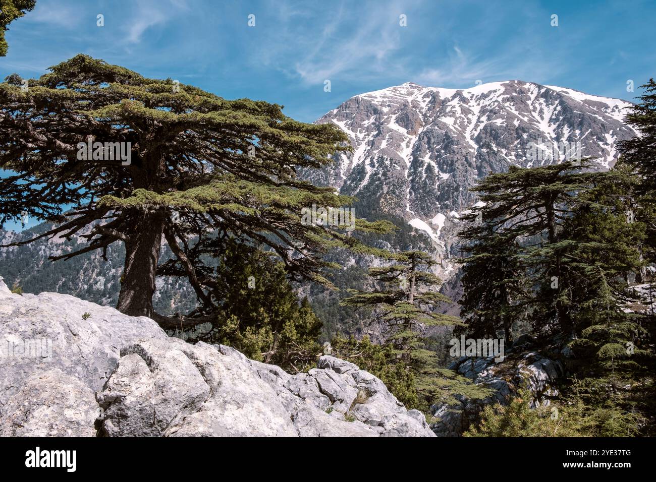 Malerische Aussicht auf den schneebedeckten Gipfel des berühmten Mount Tahtali oder Olimpos in der Türkei Stockfoto