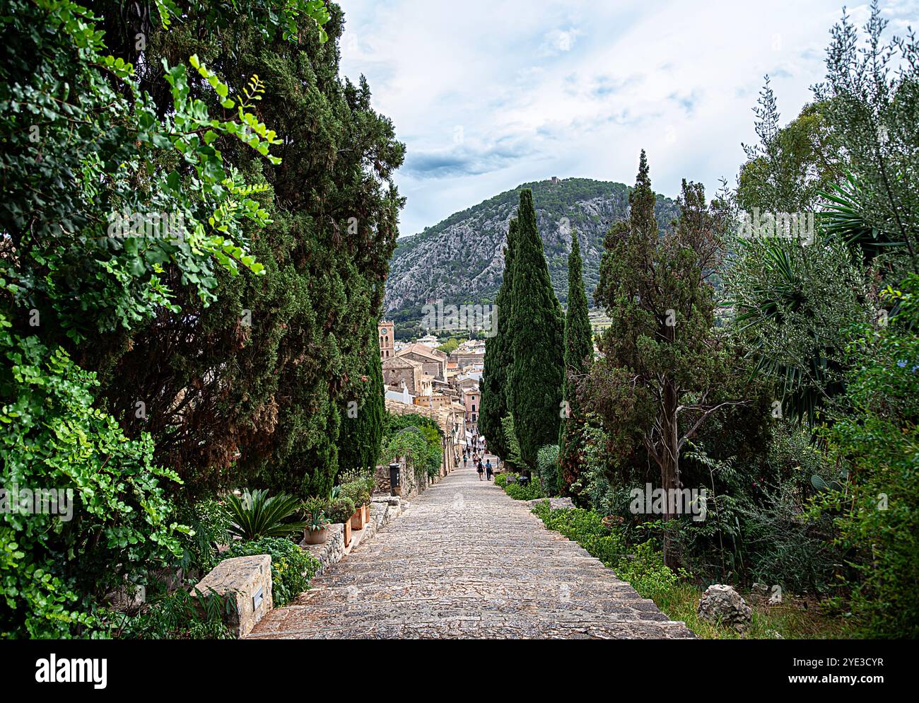 Fotografie der Treppe von Calvari, Pollensa, Mallorca, Resort, Stadt, Gebäude, Straße, Palme, Kiefer; Zypresse; Berg Stockfoto