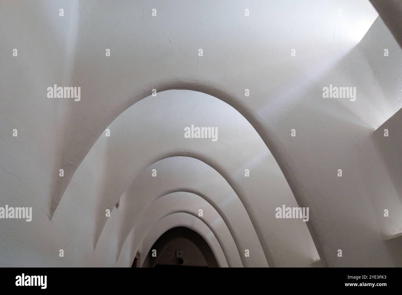 Bogendachträger, Casa Batillo, Antonio Gaudi House, Barcelona, Spanien Stockfoto