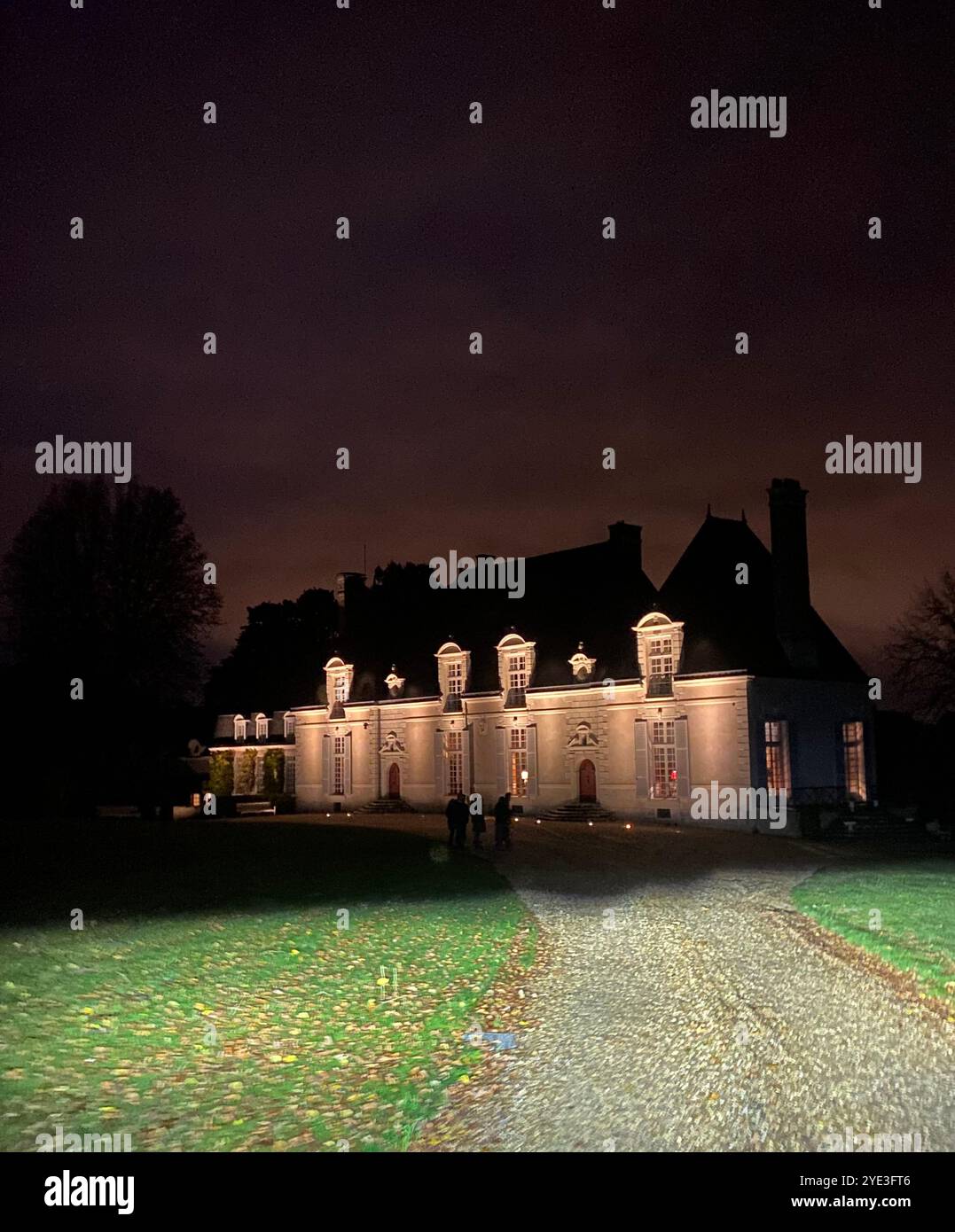 Schloss in blois Frankreich: Französische Burgen - Smartphone-aufgenommenes Stockfoto