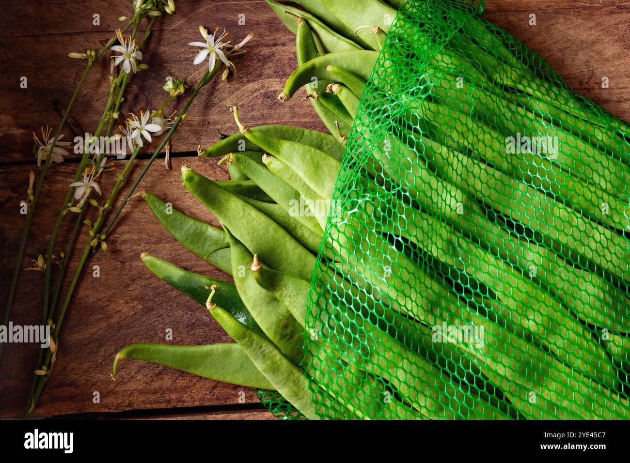 Rustikales und natürliches Bild von frisch geernteten frischen grünen Bohnen.gesunde Lebensmittel und Kochrezepte.Draufsicht Bund grüner Bohnen auf einem hölzernen Hintergrund. Stockfoto