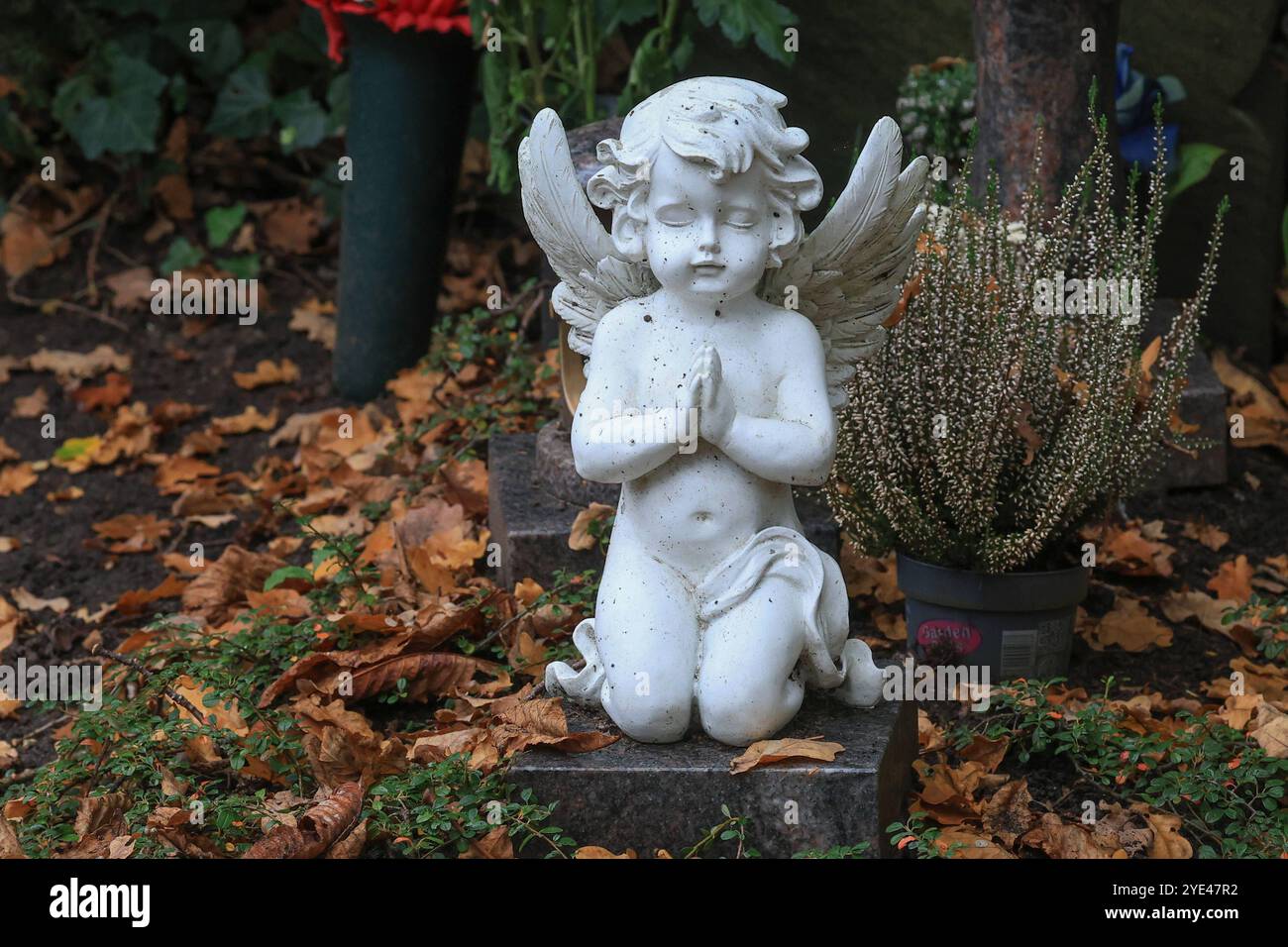 Niedersachsen, Hannover, der Stadtfriedhof Engesohde ist einer der ältesten Friedhöfe von Hannover. Er wurde von 1861 bis 1864 angelegt und liegt heute im Stadtteil Südstadt. Friedhof, Gräber, Grabsteine, totensonntag Volkstrauertag, Allerheiligen, Trauer, Engel. *** Niedersachsen, Hannover, der Stadtfriedhof Engesohde ist einer der ältesten Friedhöfe Hannovers Er wurde von 1861 bis 1864 angelegt und befindet sich heute im Südstädter Stadtfriedhof, Gräber, Grabsteine, Totensonntag Volkstrauertag, Allerheiligen, Trauer, Engel Stockfoto