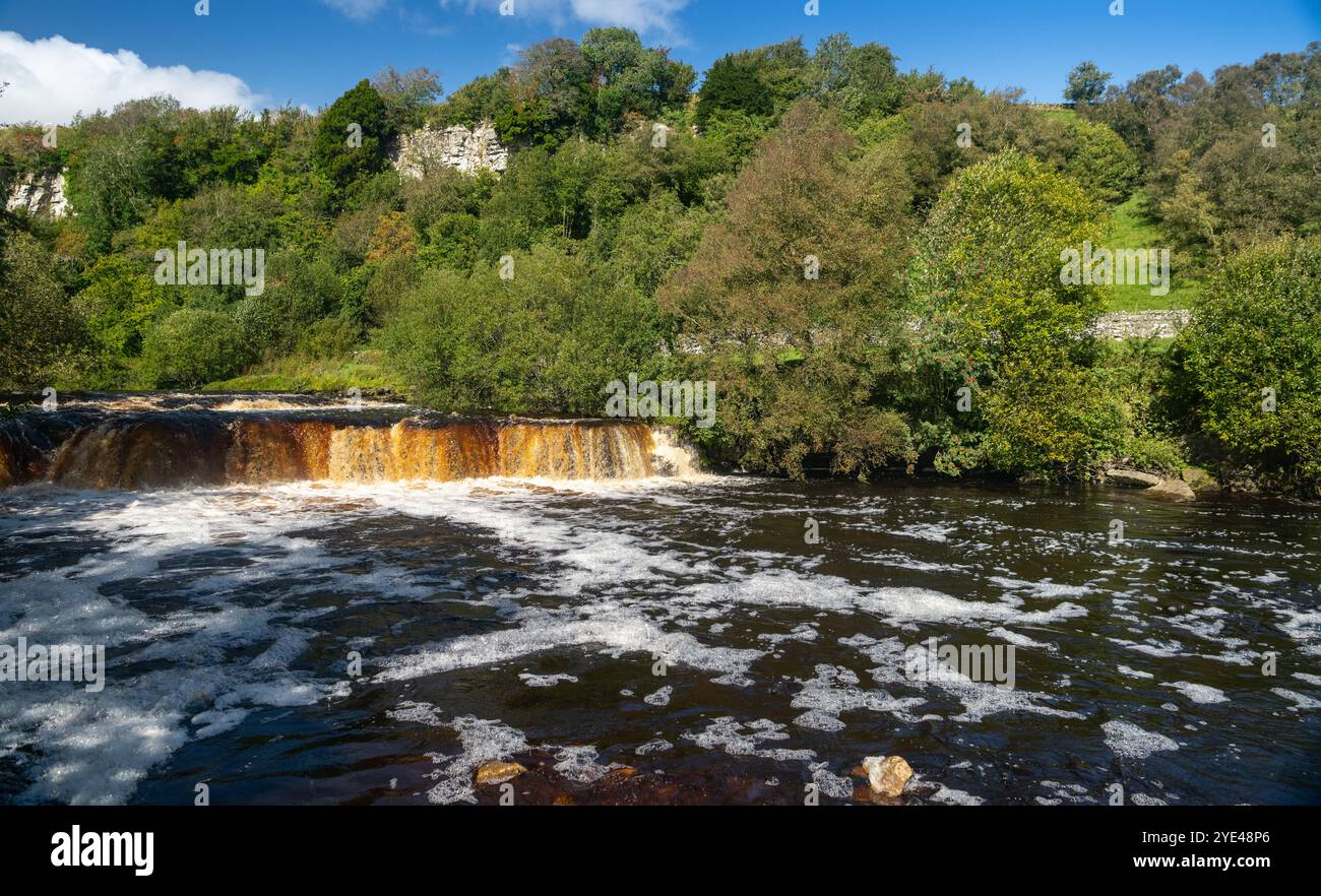 Wainwath Falls, die nach einem herbstlichen Sturm schnell fließen, am Fluss Swale bei Keld. Yorkshire Dales National Park, Großbritannien. Stockfoto