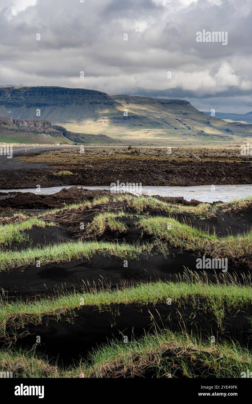 Eldhraun Lava Fields, Island Stockfoto