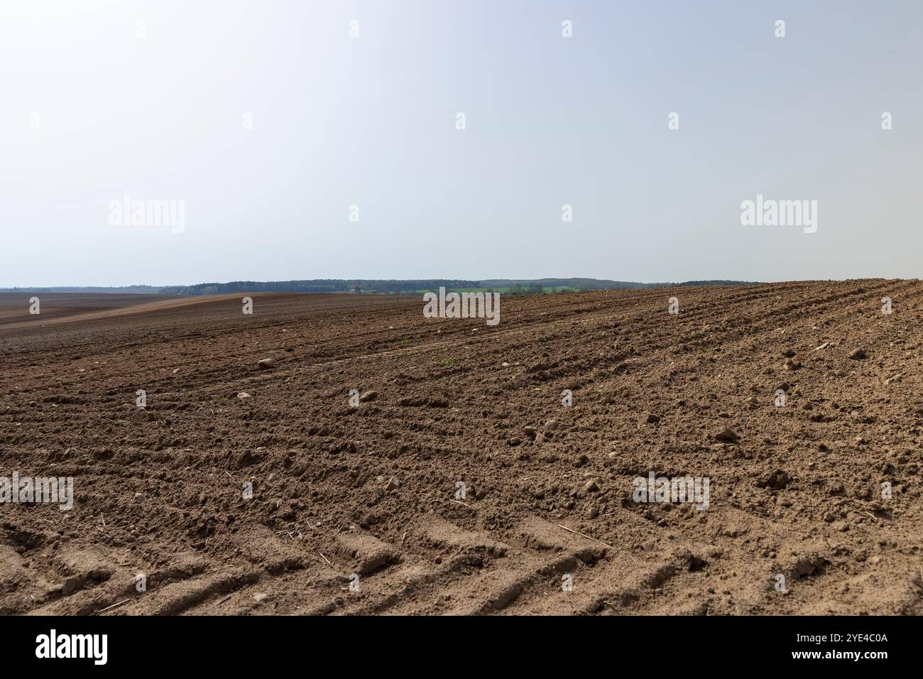 Bodenbearbeitung im Frühjahr vor dem Pflanzen, Pflügen von Boden in Felder, Himmel Stockfoto