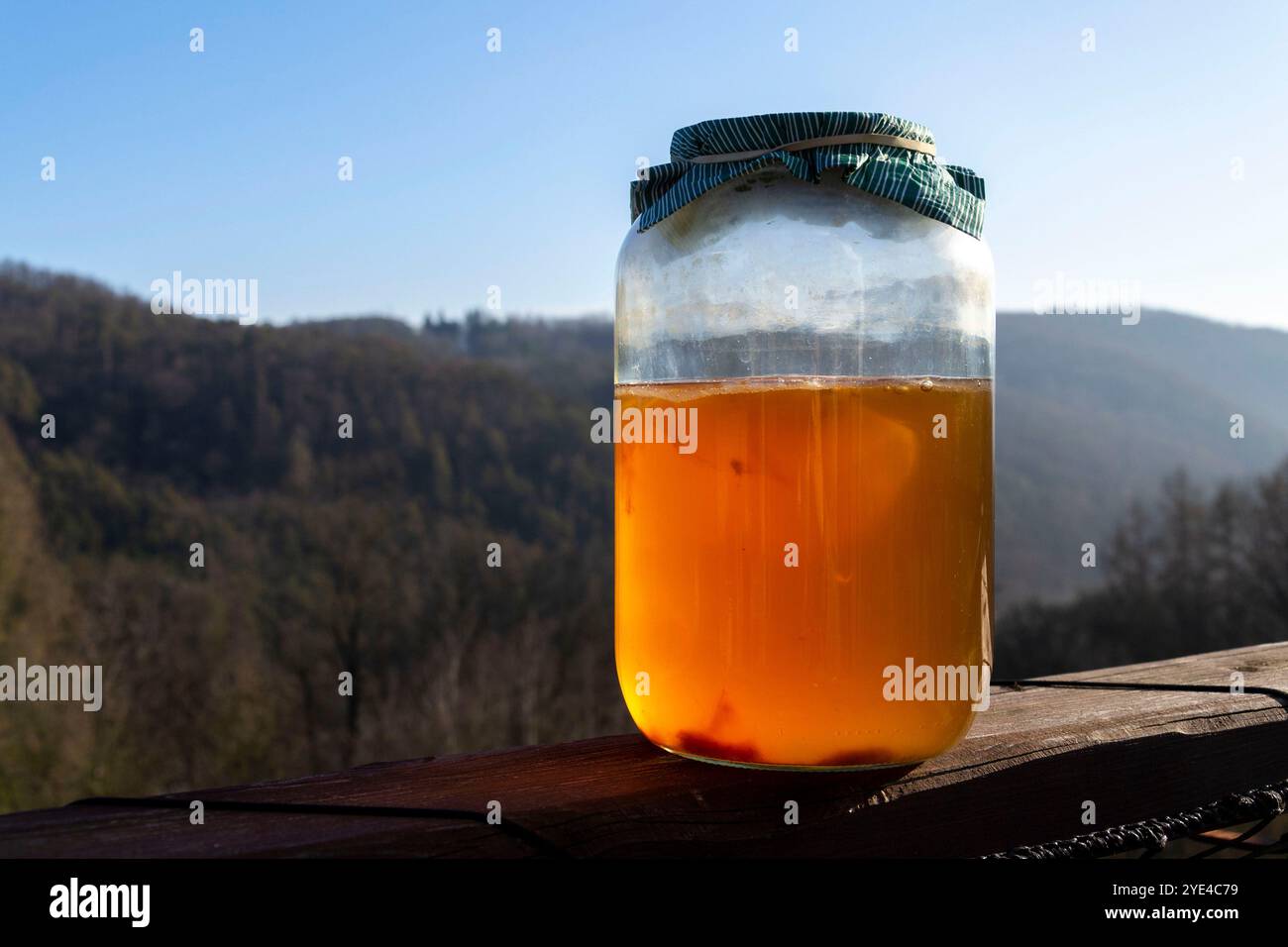 Kombucha natürlicher fermentierter Tee im Glas, gesundes Getränk asiatischen Ursprungs, draußen am sonnigen Herbsttag Stockfoto