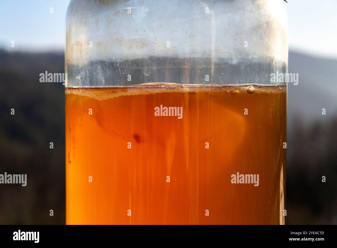 Kombucha natürlicher fermentierter Tee im Glas, gesundes Getränk asiatischen Ursprungs, draußen am sonnigen Herbsttag Stockfoto