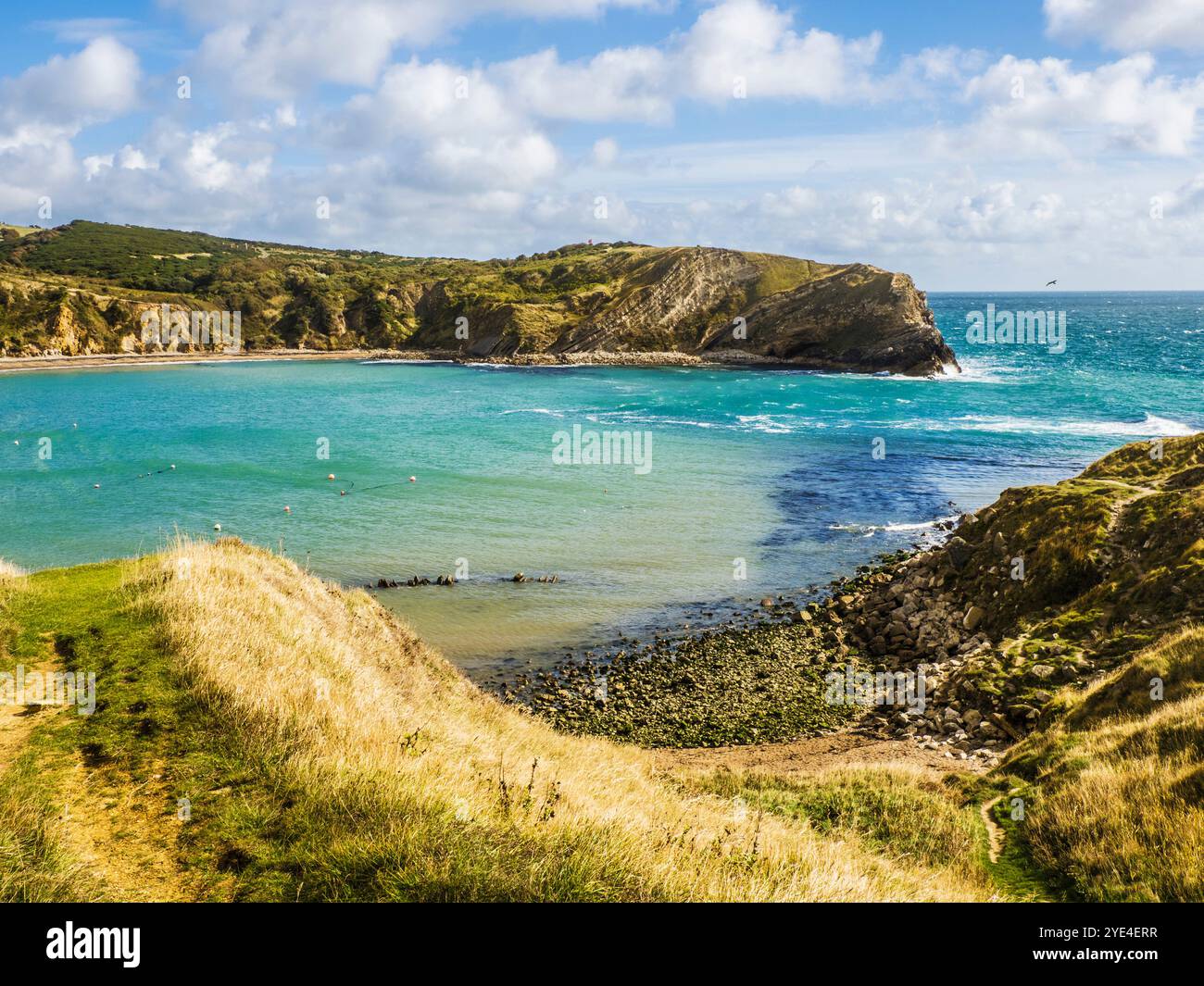 Lulworth Cove an der Jurassic Coast in Dorset. Stockfoto
