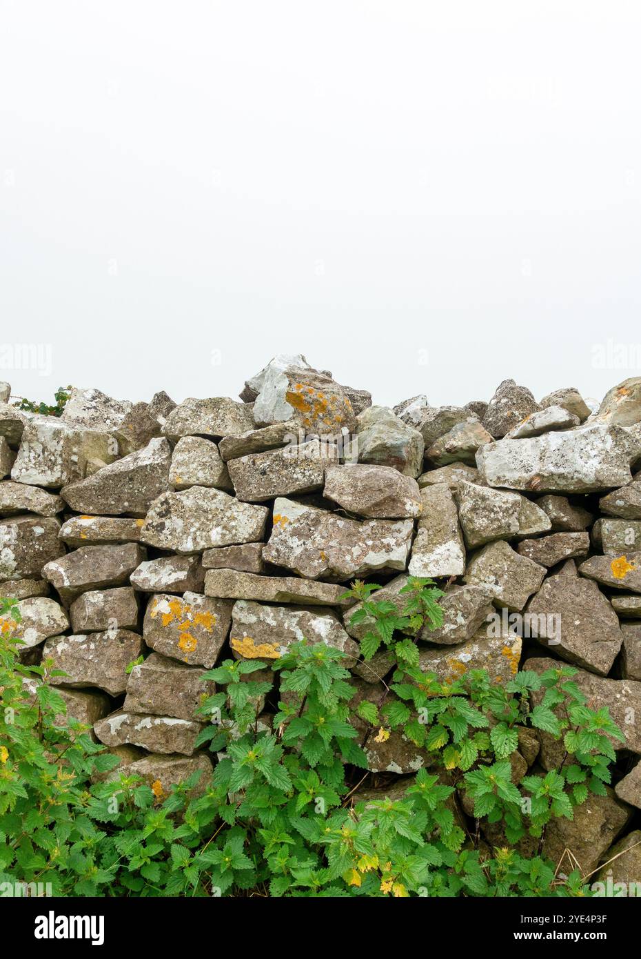 Diese bezaubernde Trockensteinmauer zeigt die Kunstfertigkeit des traditionellen Steinmauerwerks, das ohne Mörtel gebaut wurde und dennoch stark durch die Zeit steht. Stockfoto