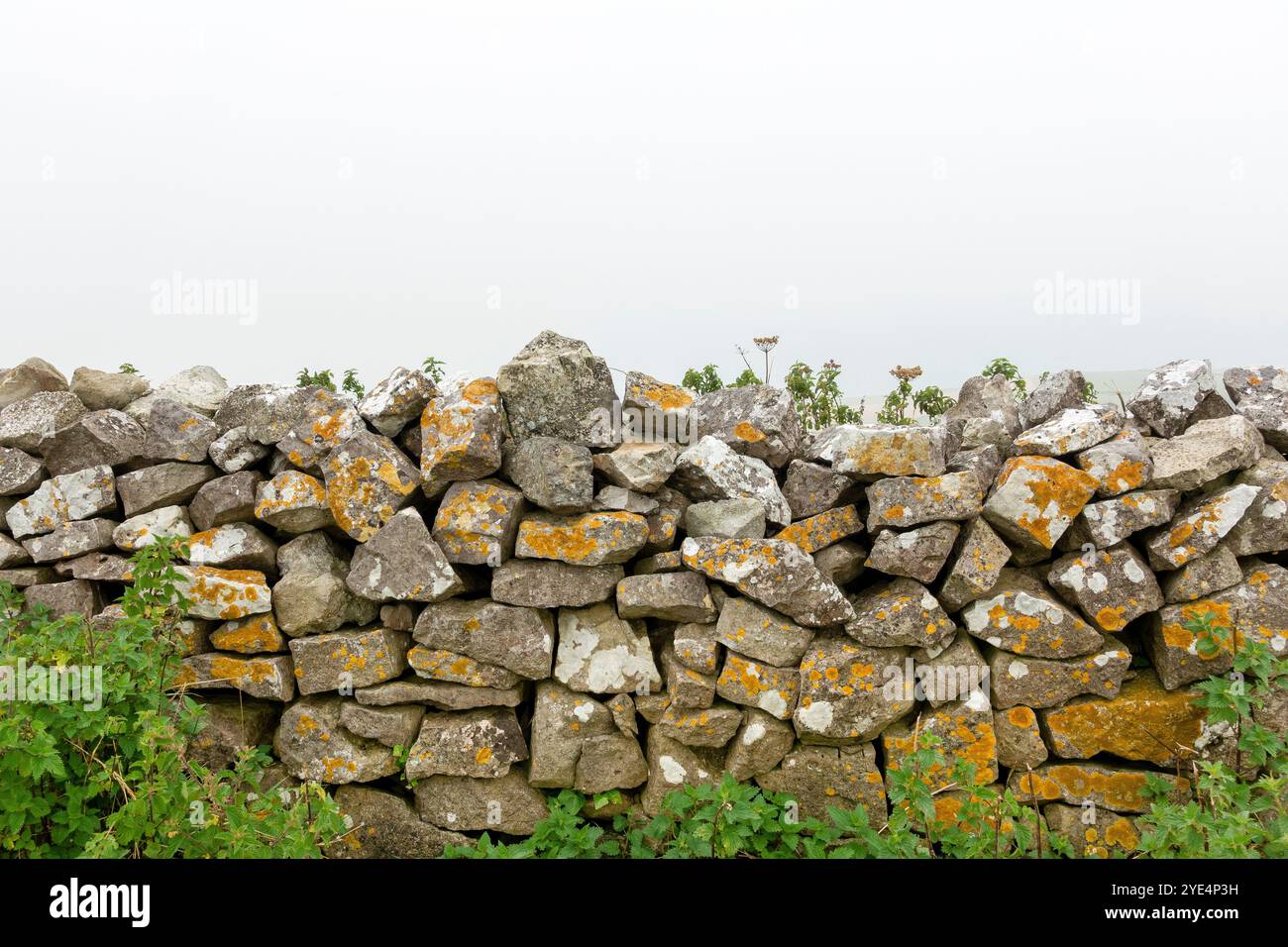 Diese bezaubernde Trockensteinmauer zeigt die Kunstfertigkeit des traditionellen Steinmauerwerks, das ohne Mörtel gebaut wurde und dennoch stark durch die Zeit steht. Stockfoto