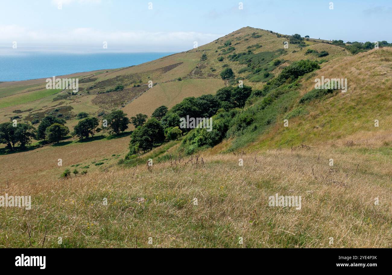 Blick auf Tyneham Cap in der Nähe der Kimmeridge Bay auf dem Südwest-Küstenpfad auf der Isle of Purbeck in Dorset, England, Großbritannien Stockfoto