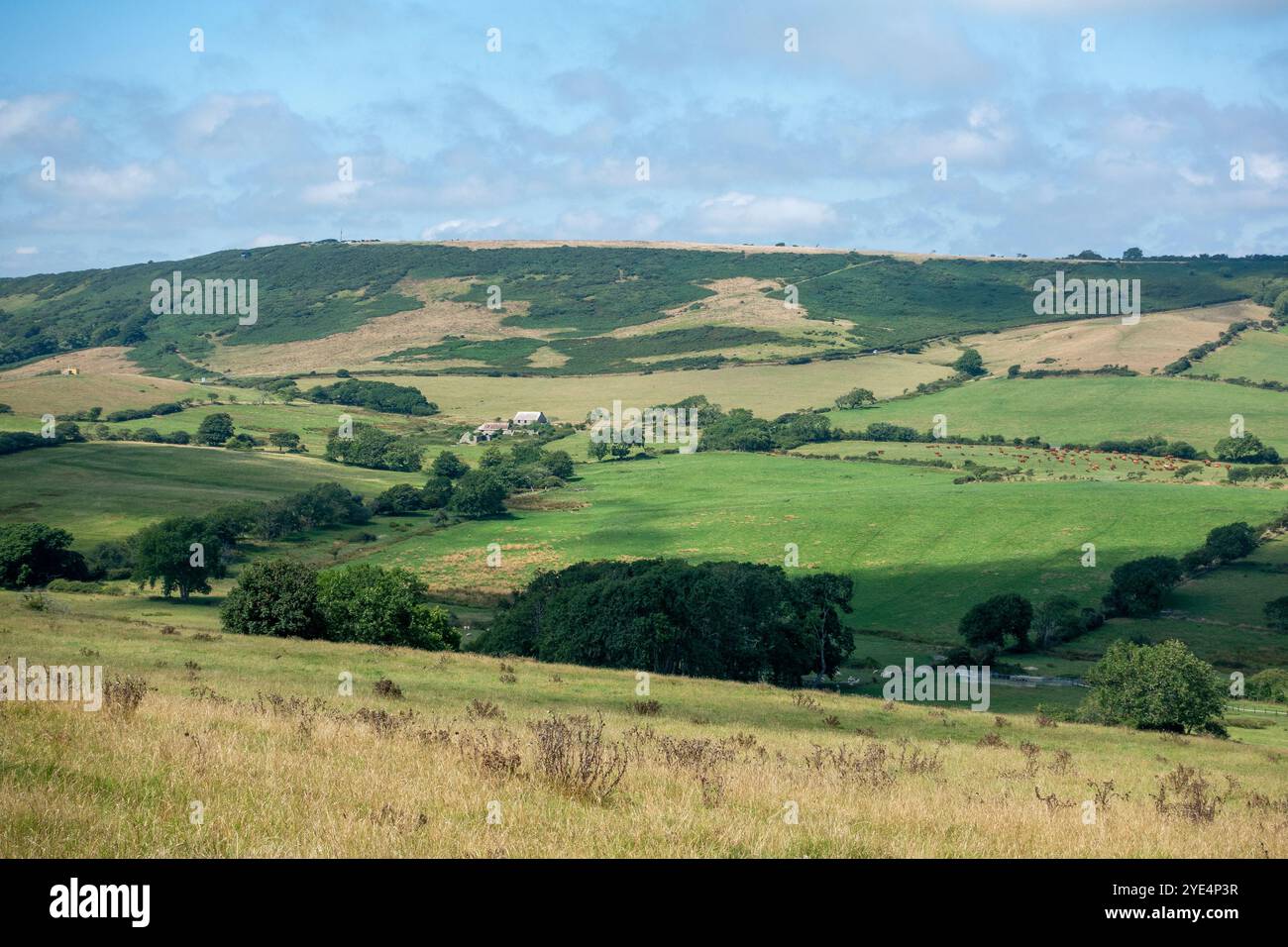 Blick über die Lulworth Fire Ranges in Richtung West Creech Hill von Tyneham Cap auf dem South West Coastal Path. Kimmeridge, Dorset, England, Großbritannien Stockfoto